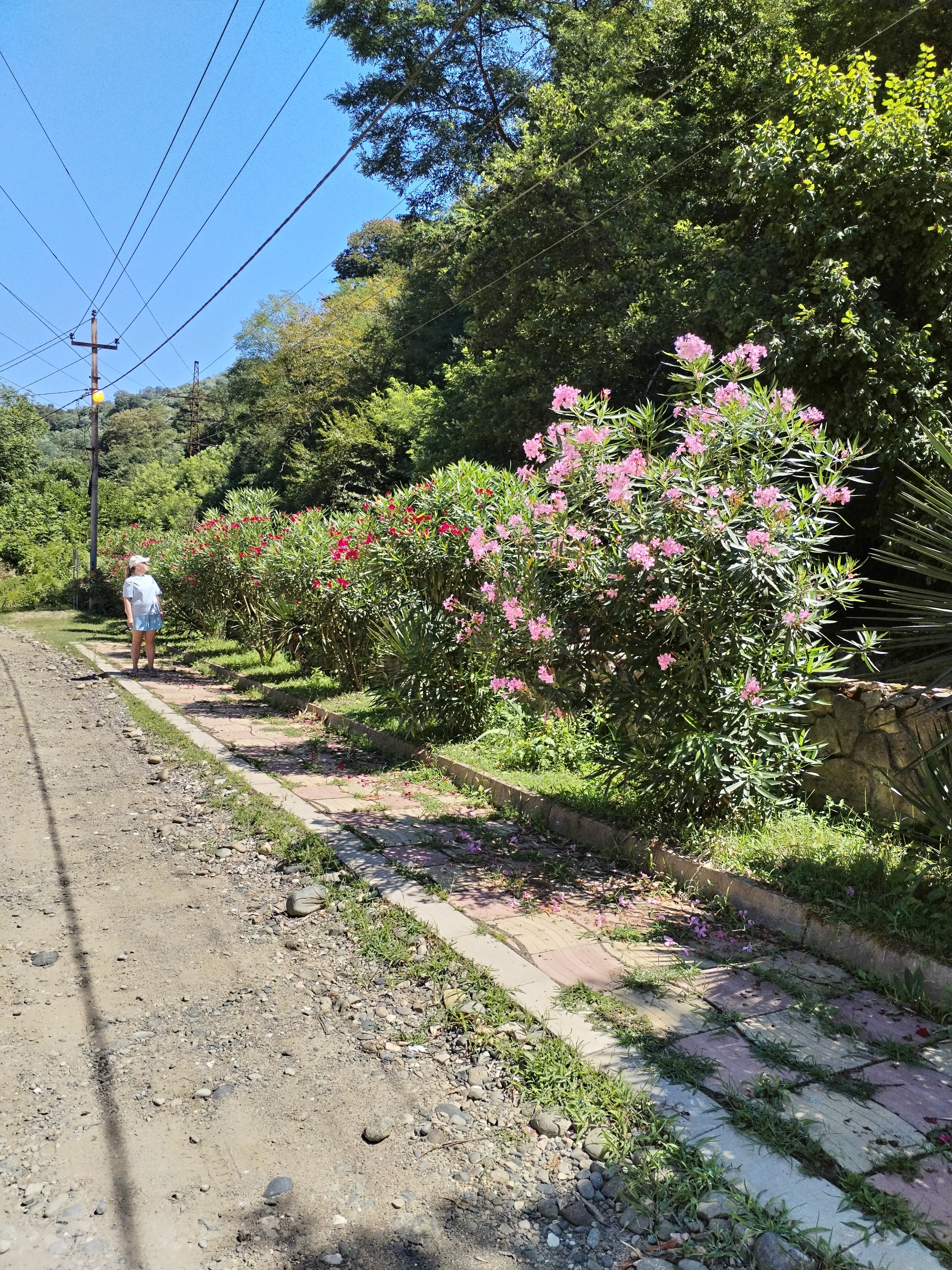 Фото Джанат