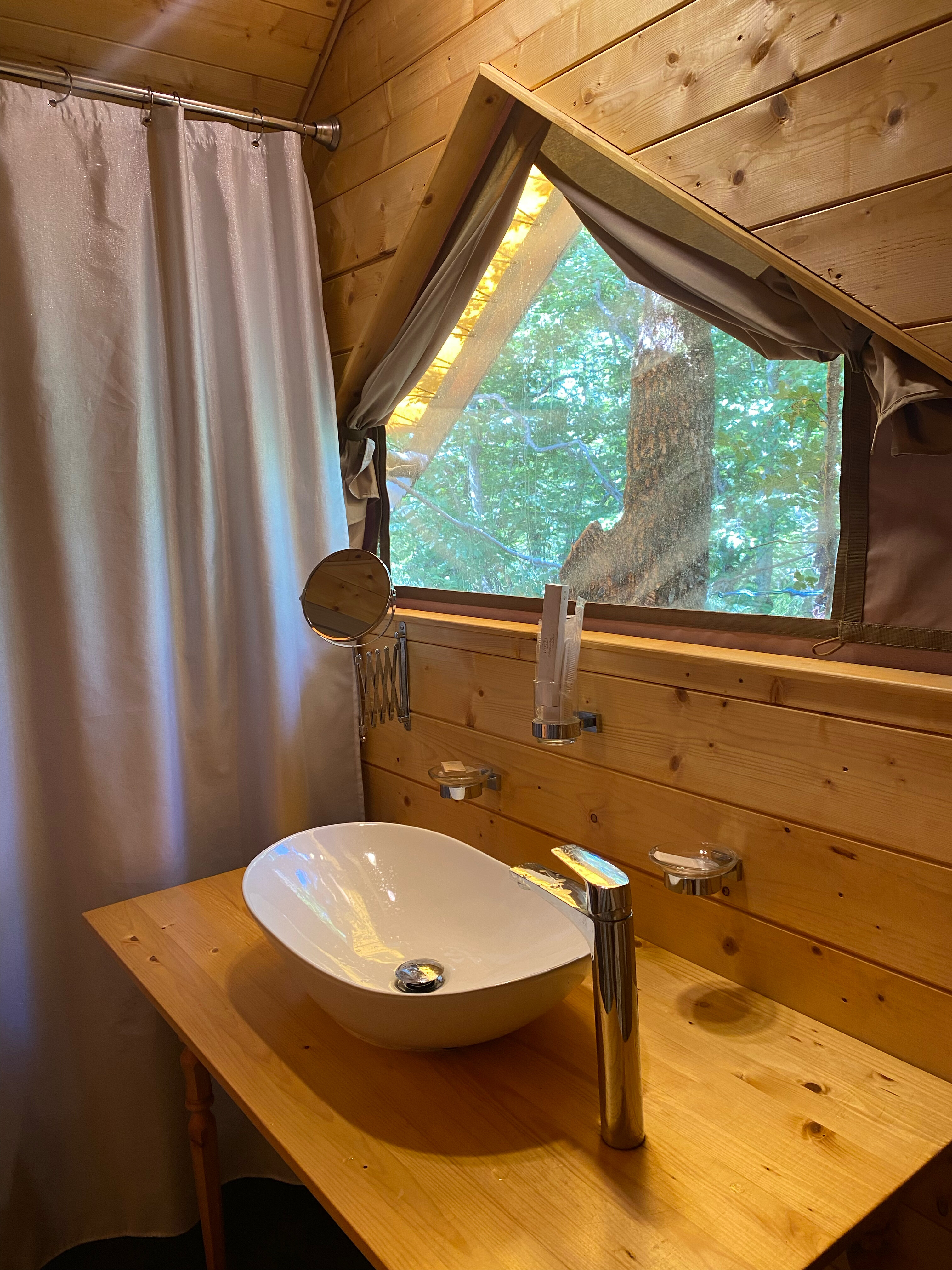 Фото Звезда