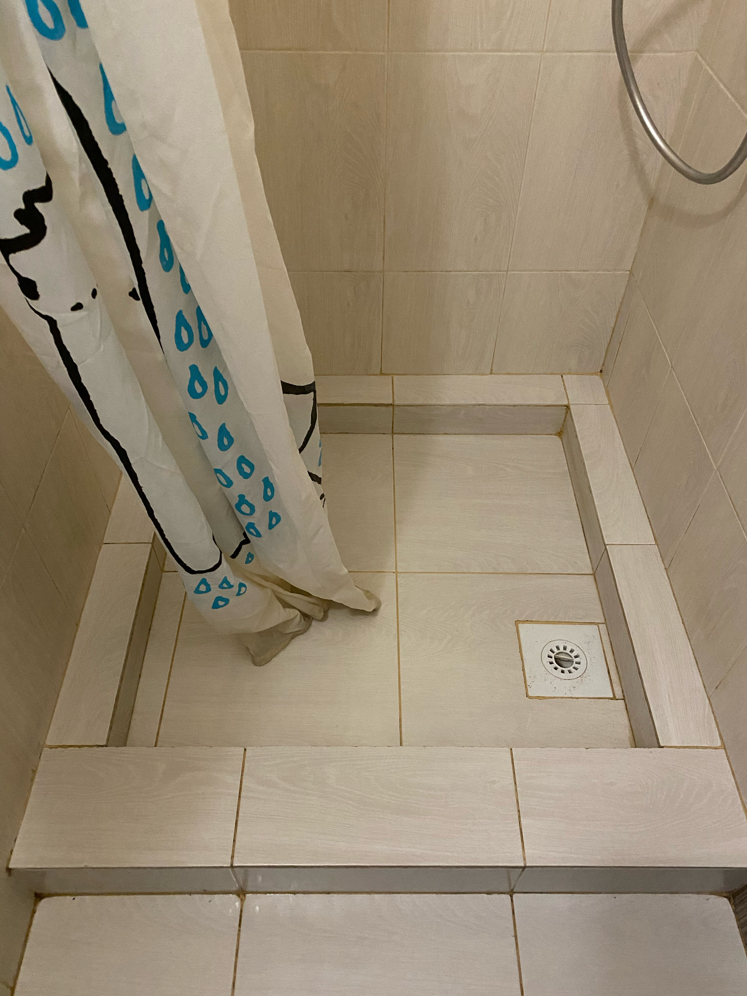 Фото Шафран