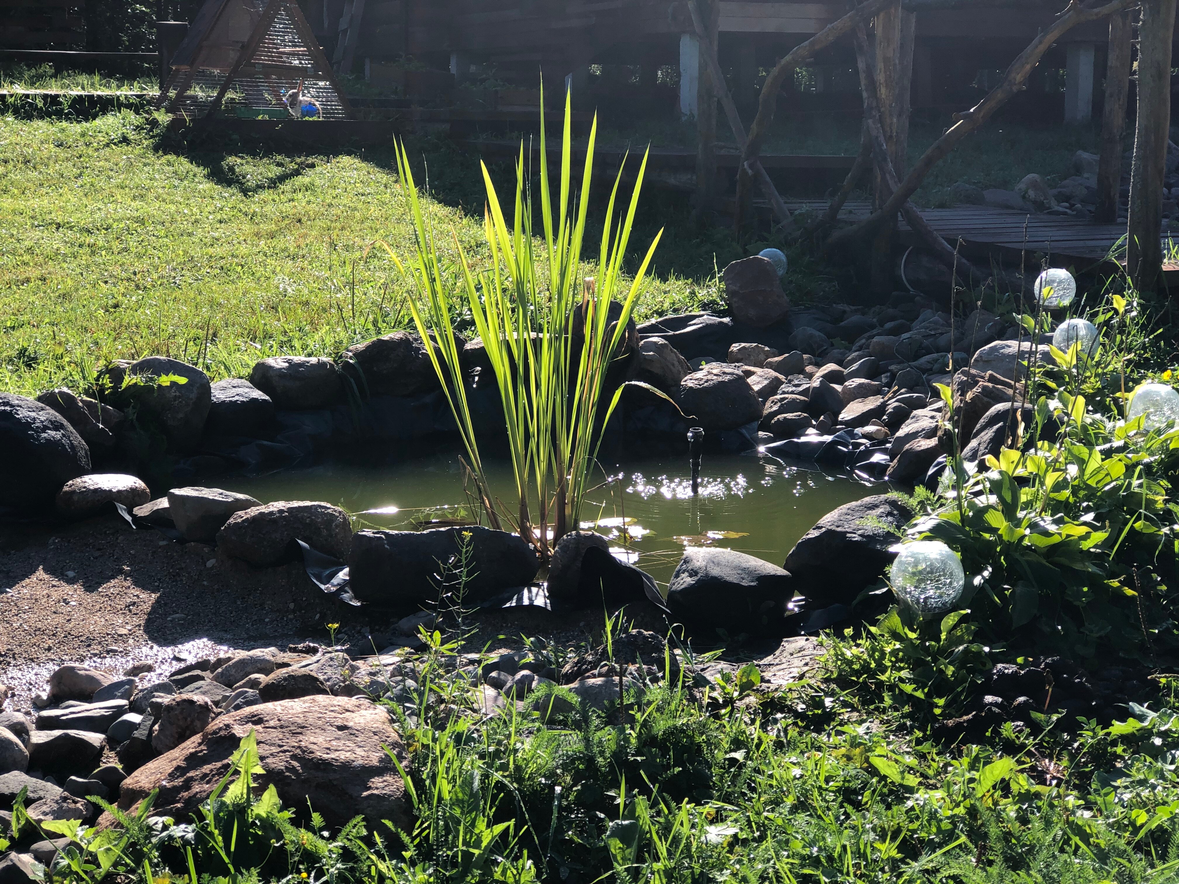 Фото Лунная Долина