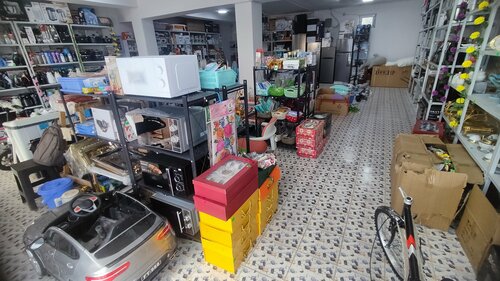 Home goods store MegaMart, Paytug, photo