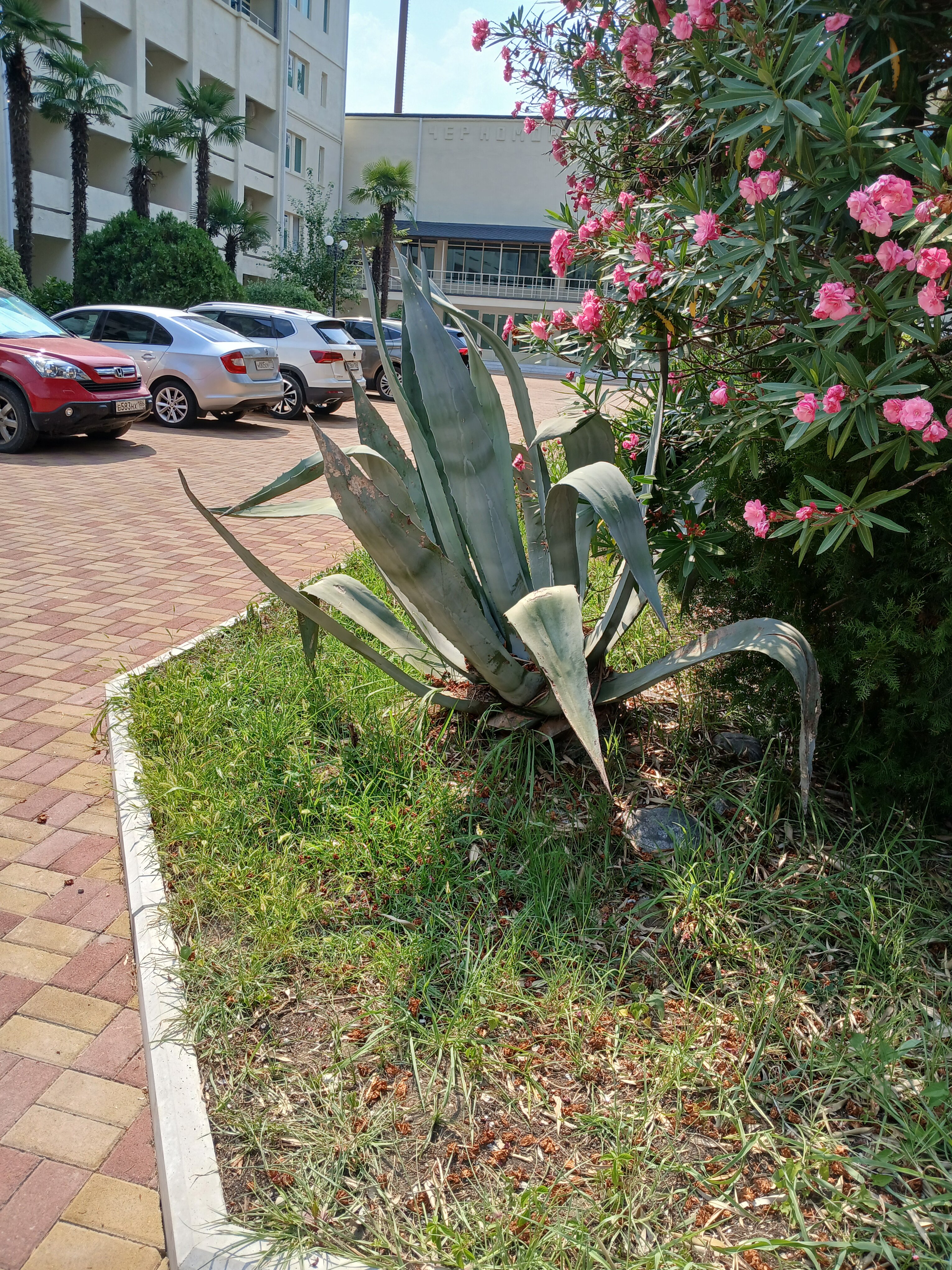 Фото Парк-отель Черноморец