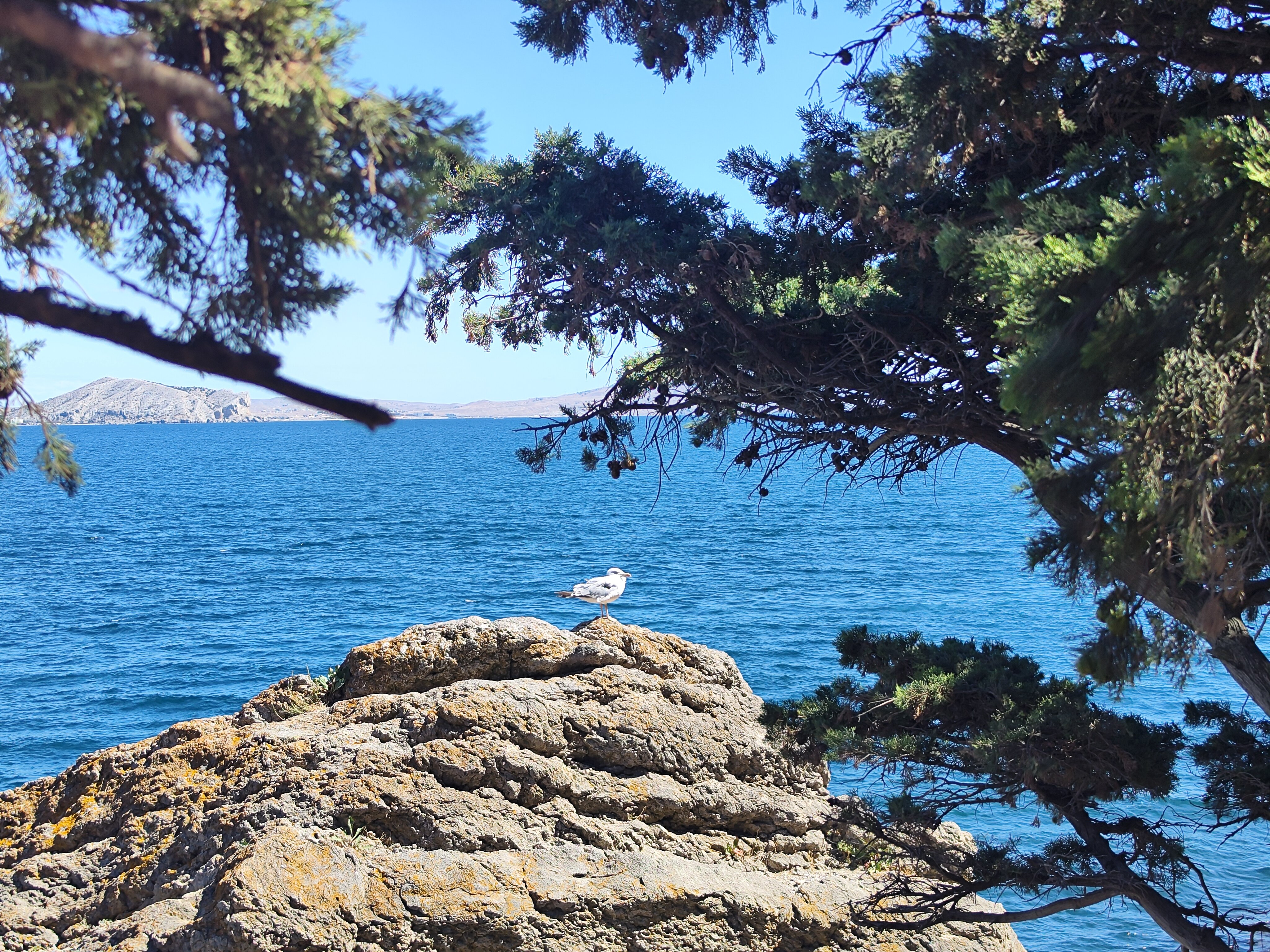 Фото Междуречье Camp