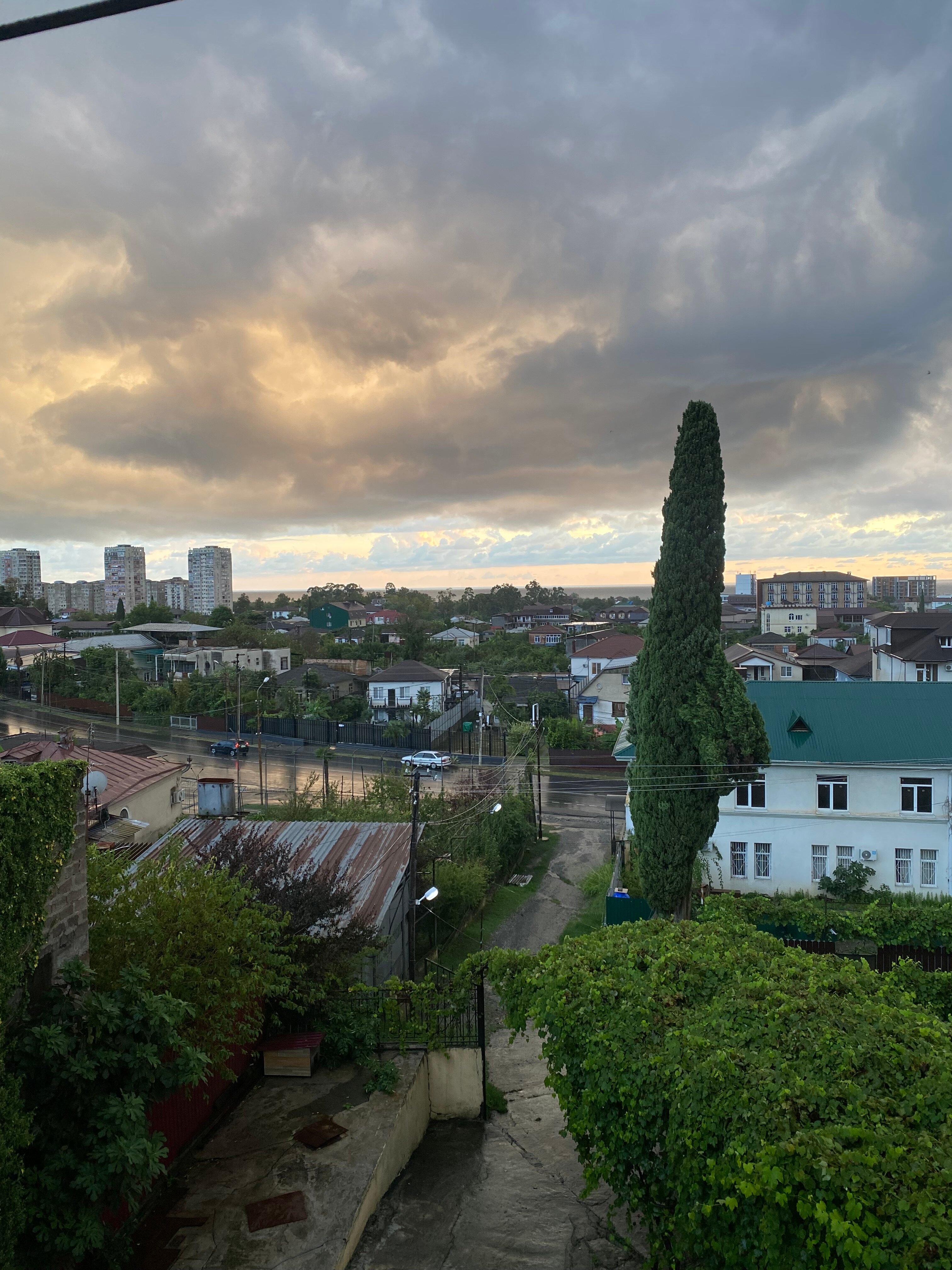 Фото Мандариновый Сад