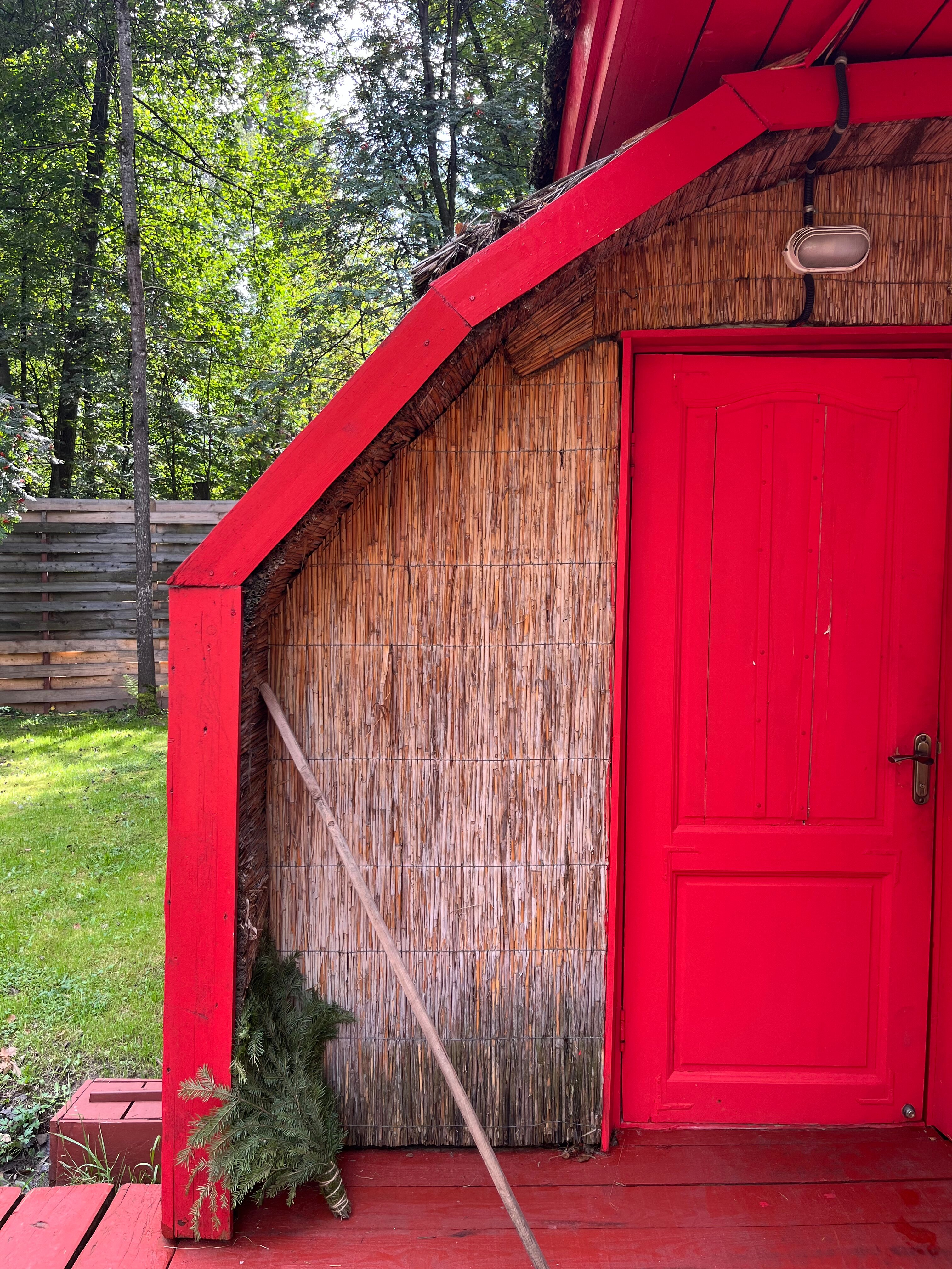 Фото Гуси-Лебеди