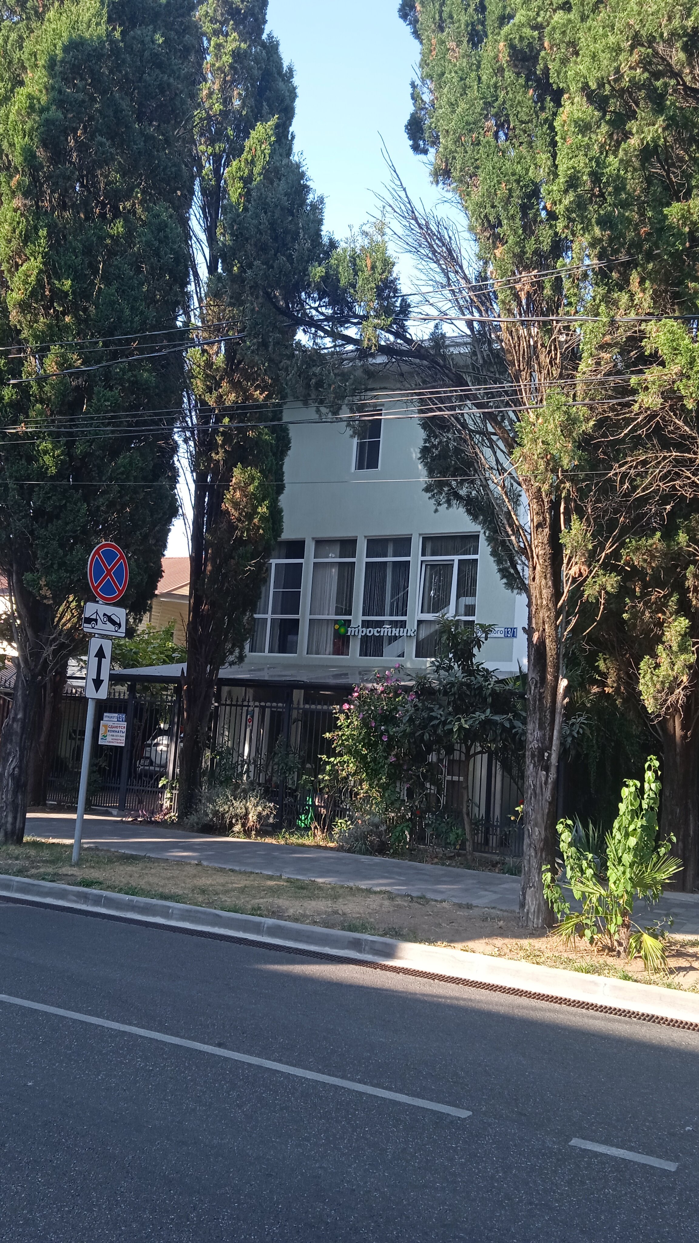 Фото Тростник