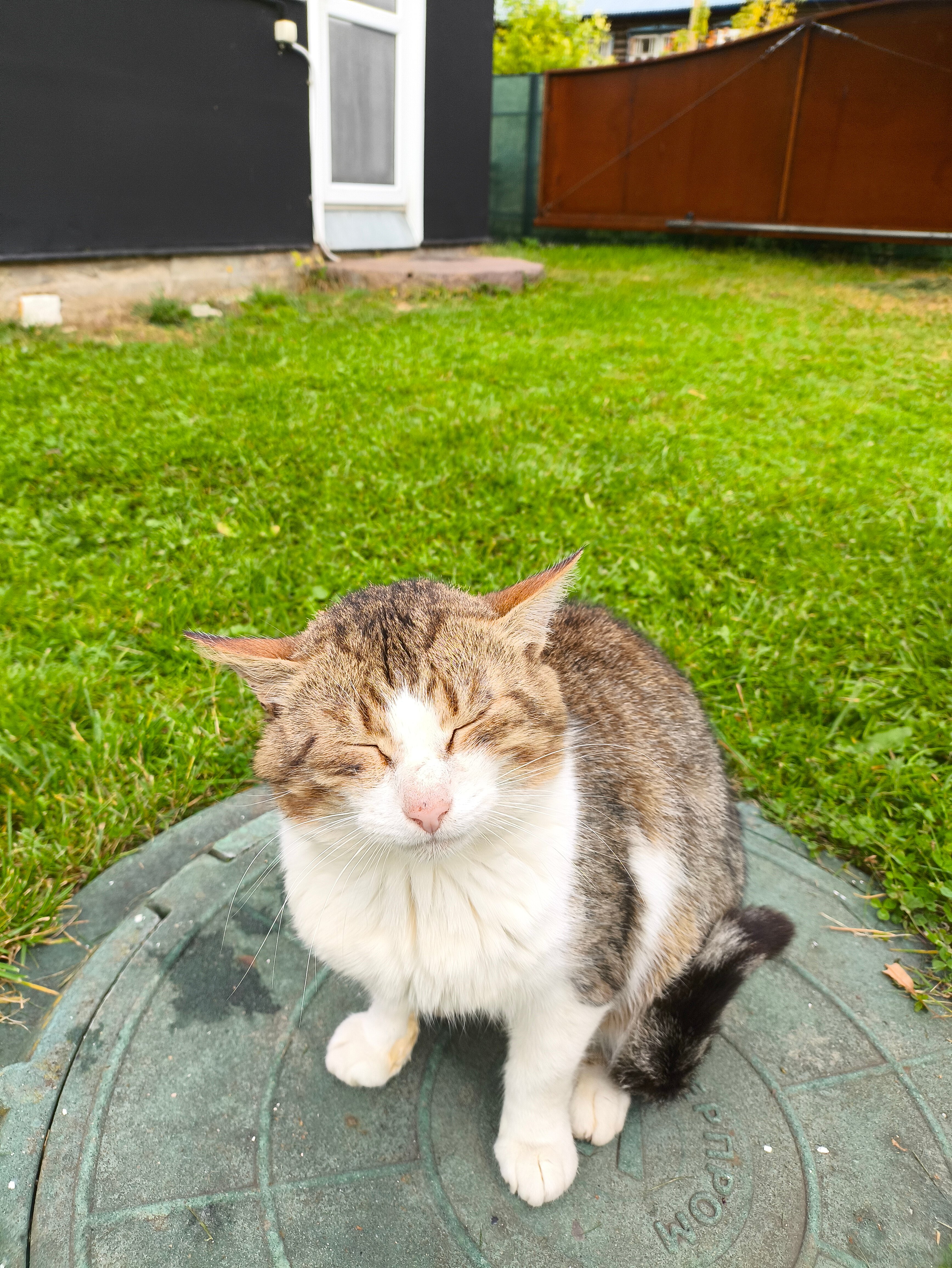 Фото Павликов Дом