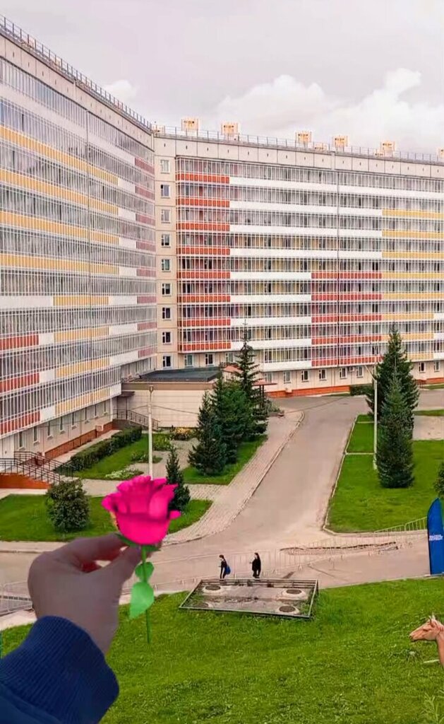 Общежитие Общежитие № 20 Сибирского федерального университета, Красноярск, фото