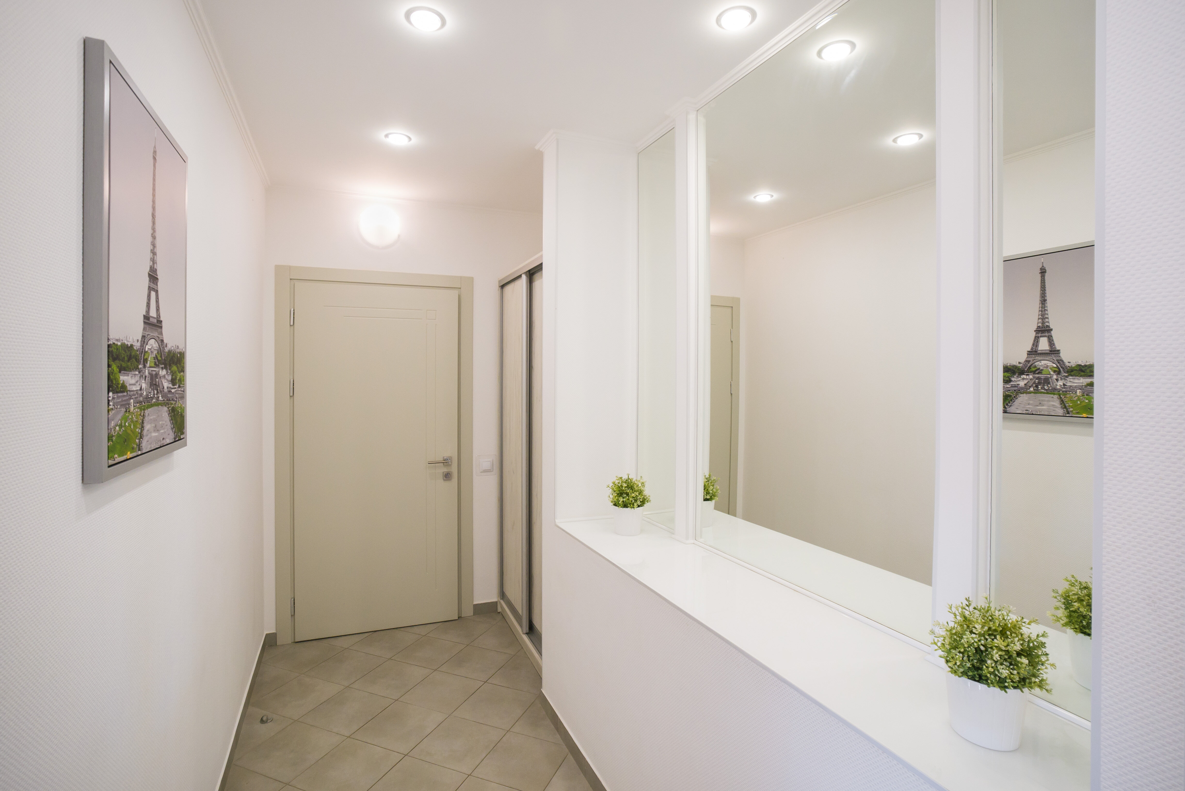 Фото Абрикос Плюс