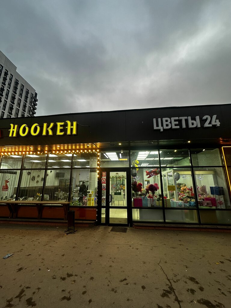 Power bank rental Energo, Moscow, photo