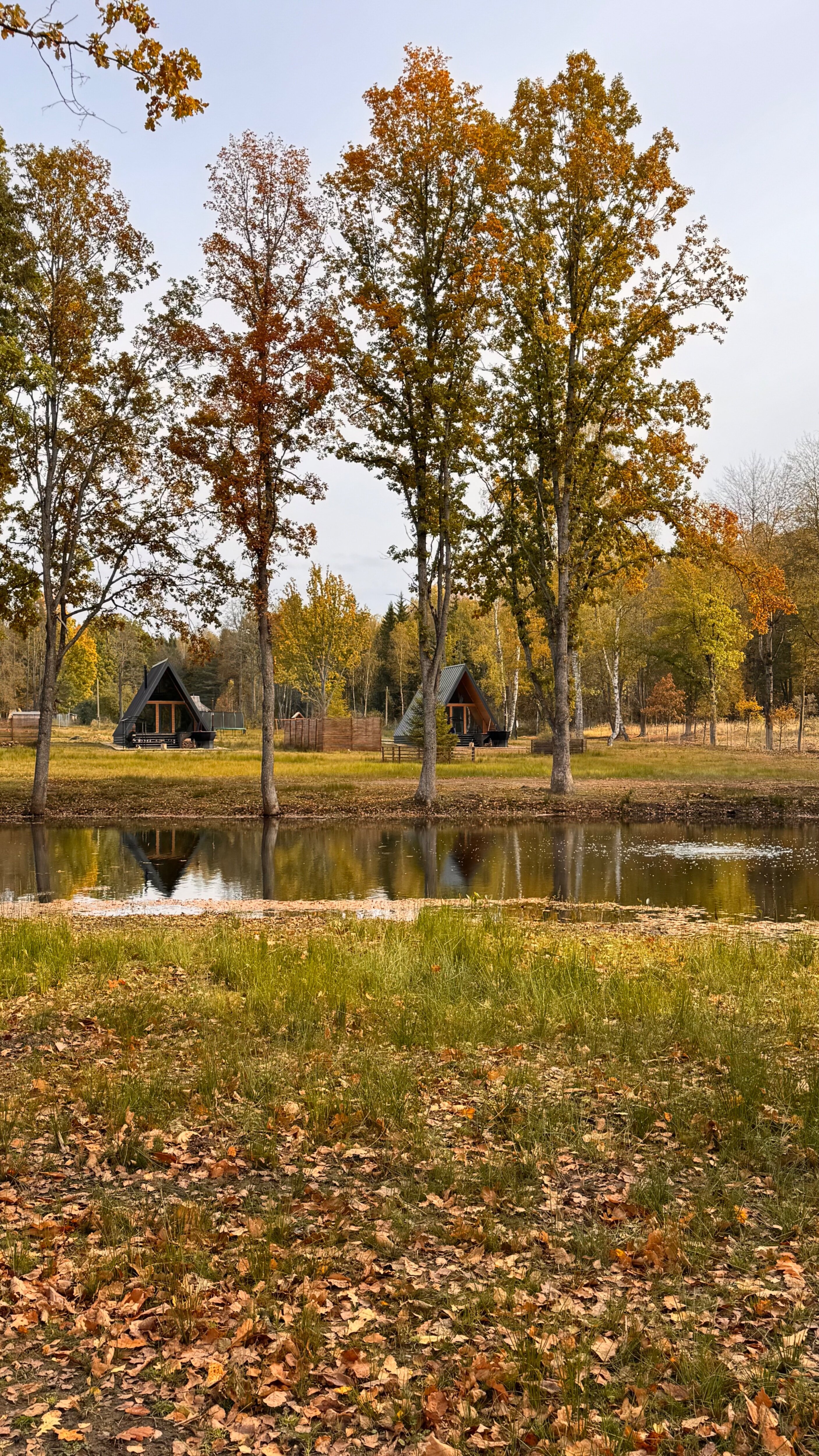 Фото Дом Лани