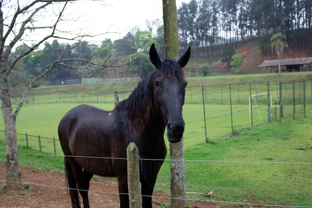 Фото Hotel Serraverde