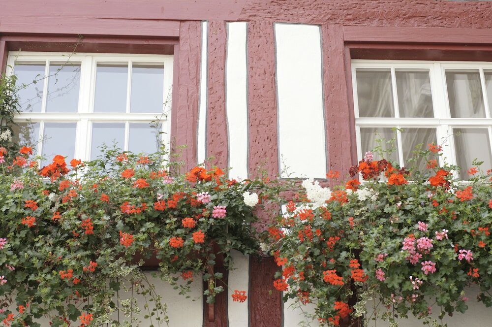 Фото Hotel Vadian