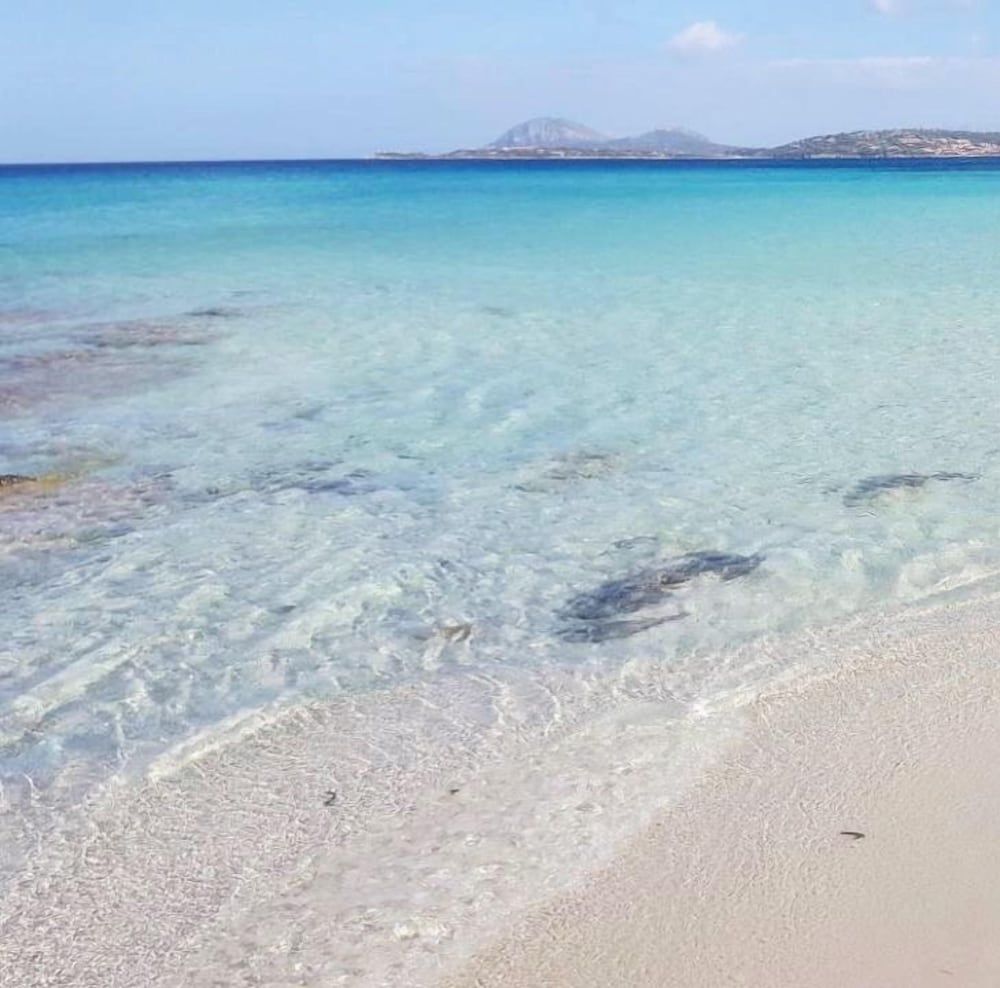 Фото Hotel Micalosu