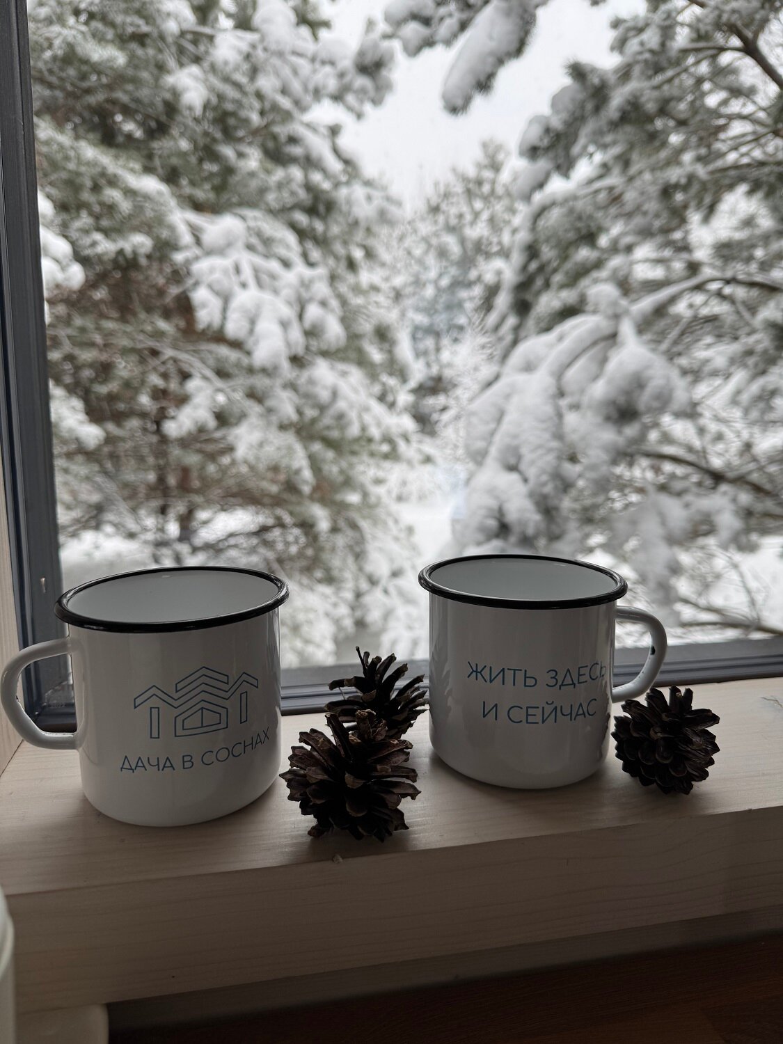 Фото Дача в соснах