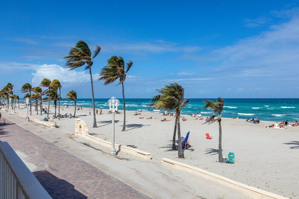 Фото Hollywood Beach Seagull