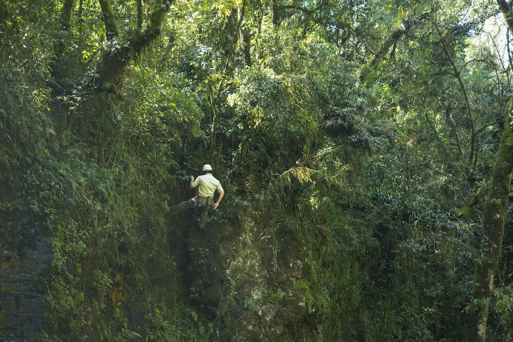 Фото Mocona Virgin Lodge