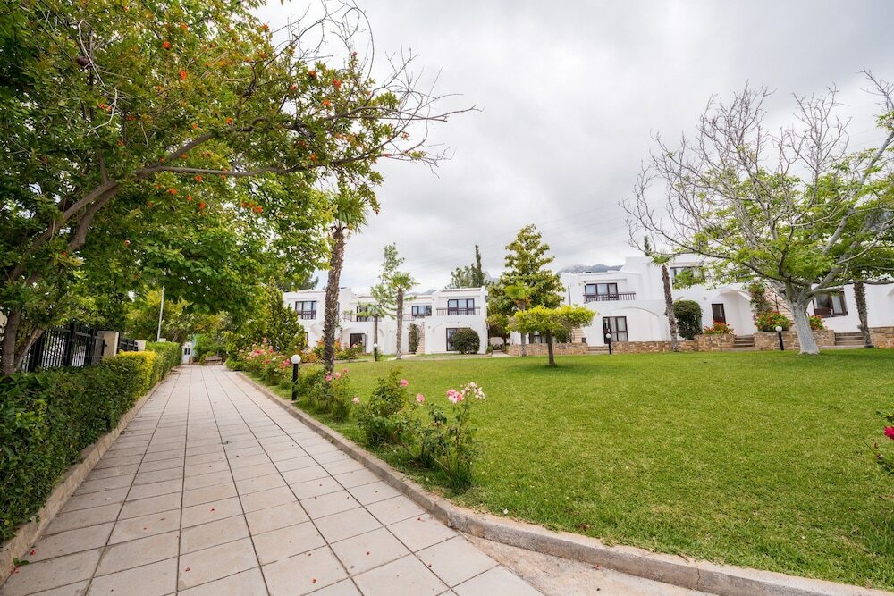 Фото The Olive Tree Hotel