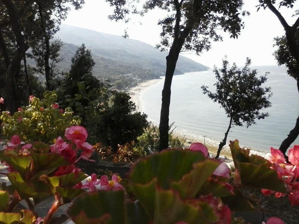 Фото Hotel Marabou