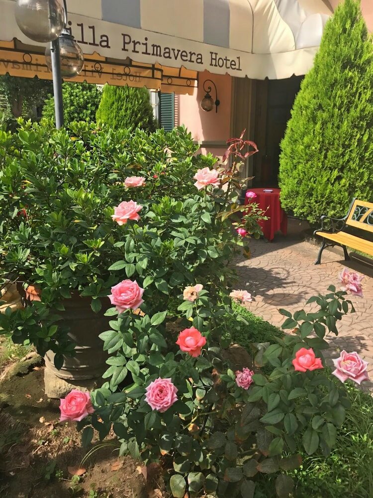 Фото Hotel Villa Primavera