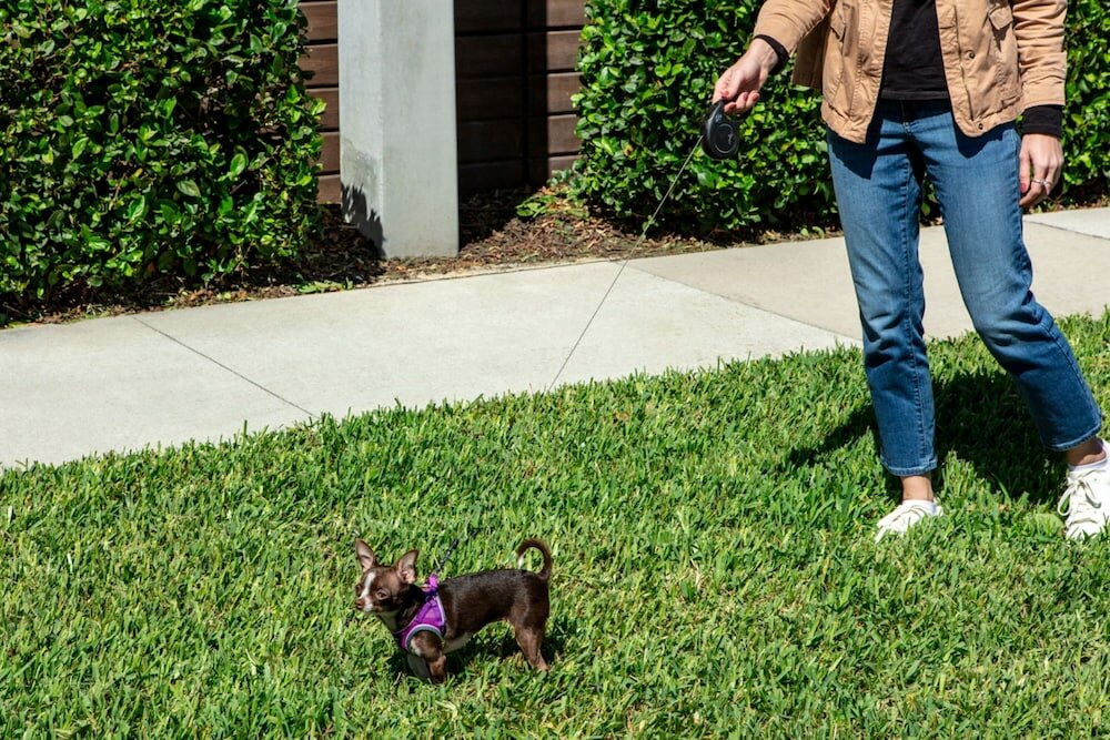 Фото Aloft Orlando International Drive