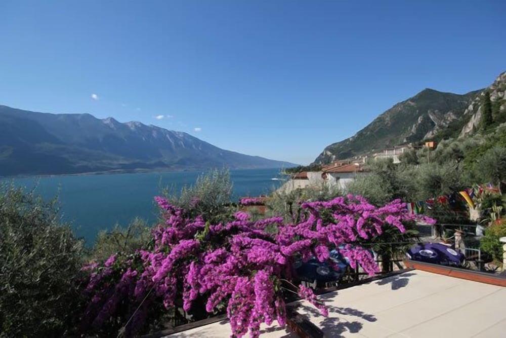 Фото Hotel Augusta Garni