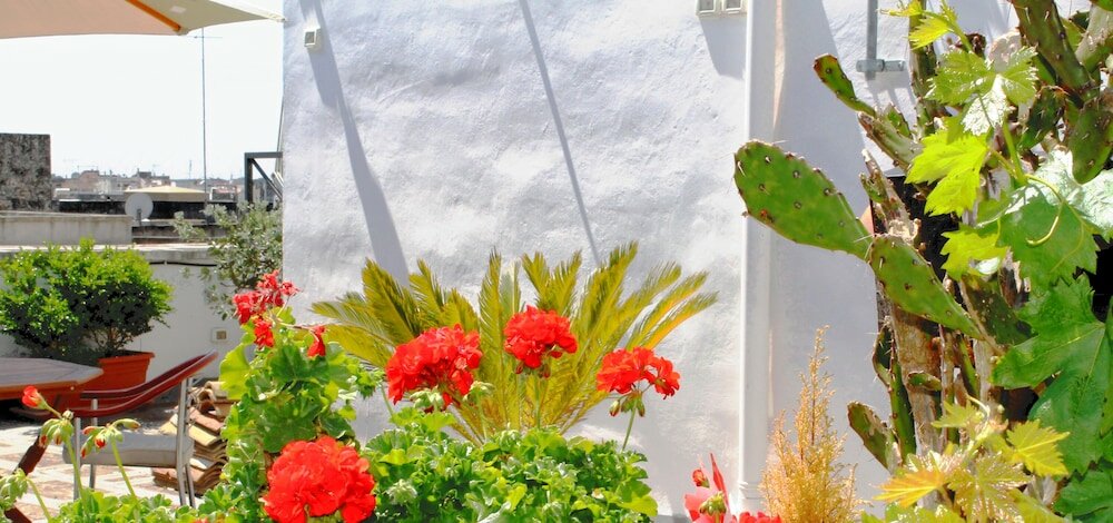 Фото B&b La Corte Degli Spada