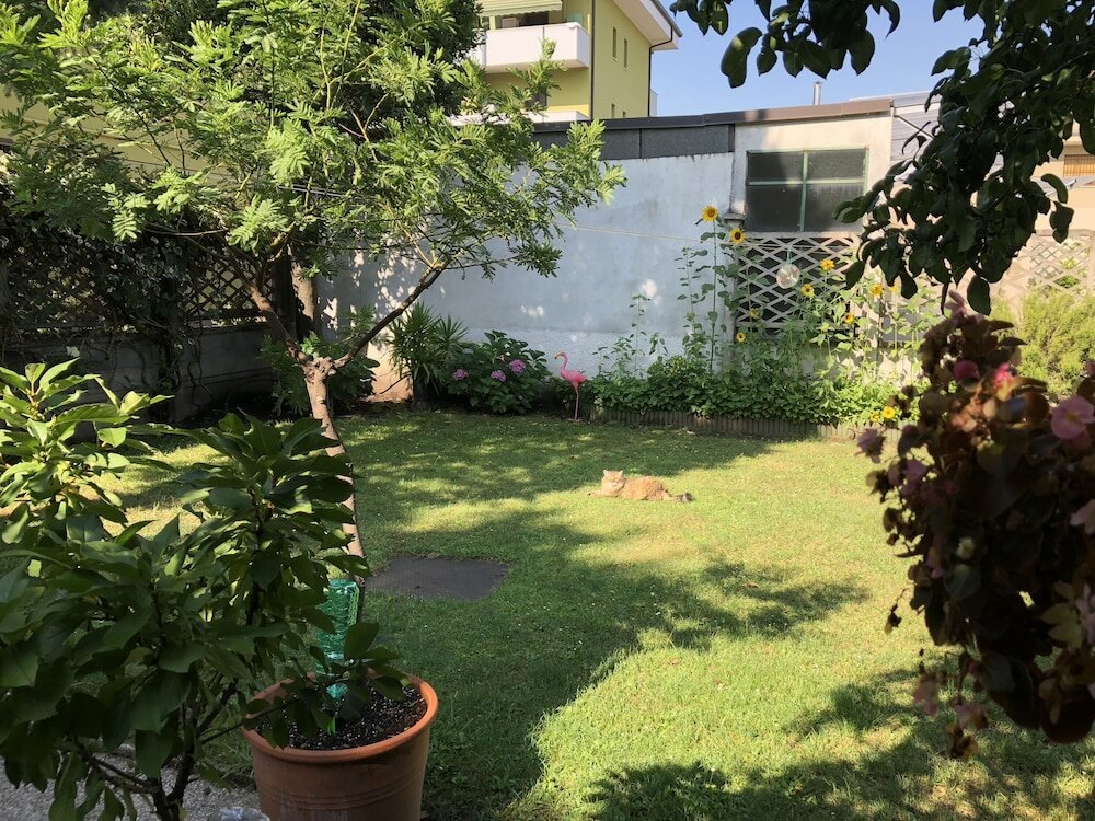 Фото 110171959275