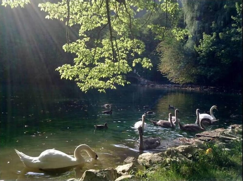 Фото Hotel Story