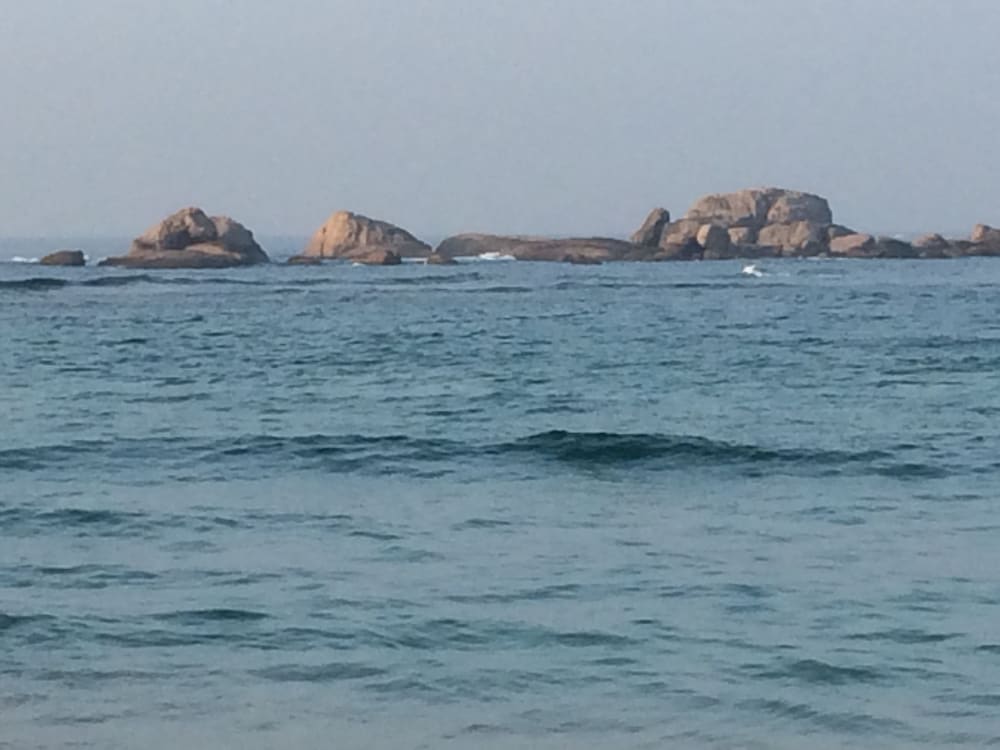 Фото Curry Bowl Restaurant & Turtles Rest