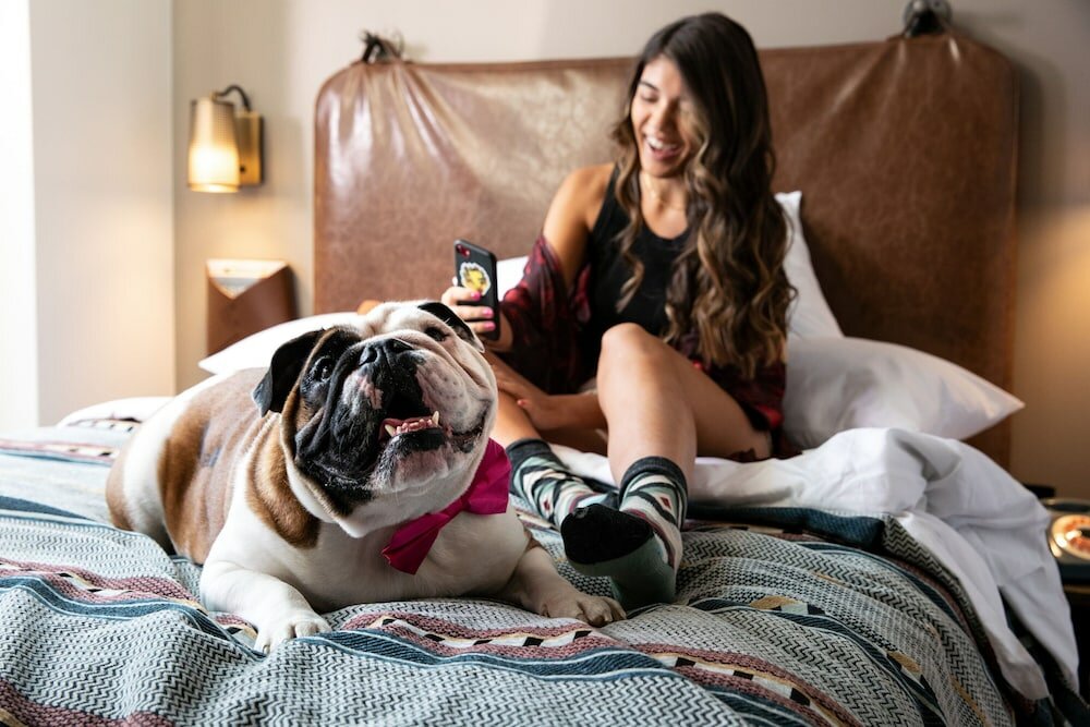 Фото Moxy Louisville Downtown