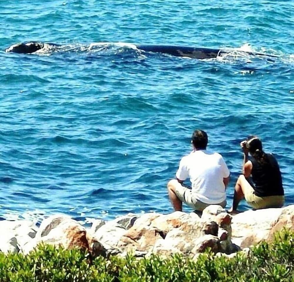 Фото Kleinzee Oceanfront Guesthouse