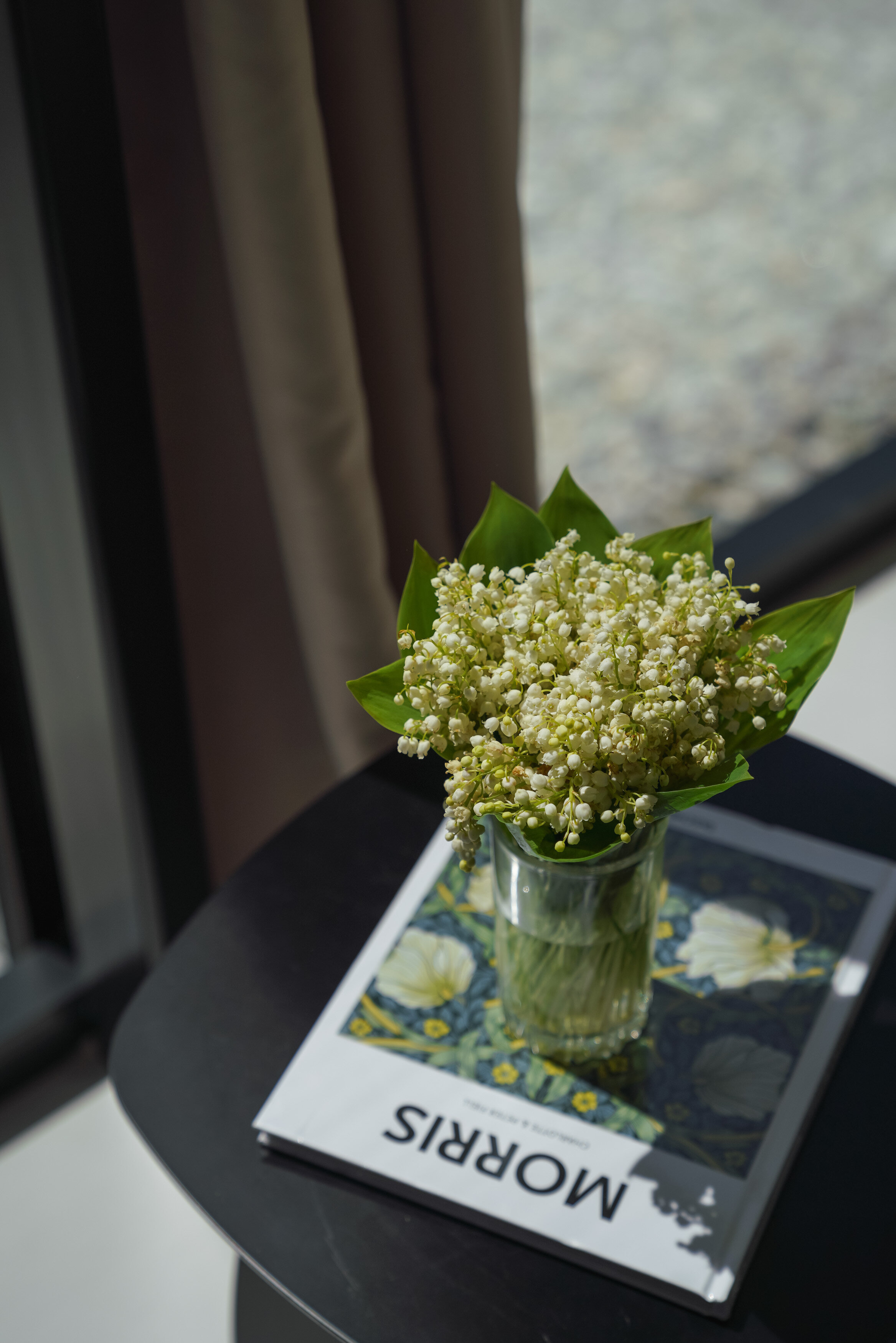 Фото Alpina House