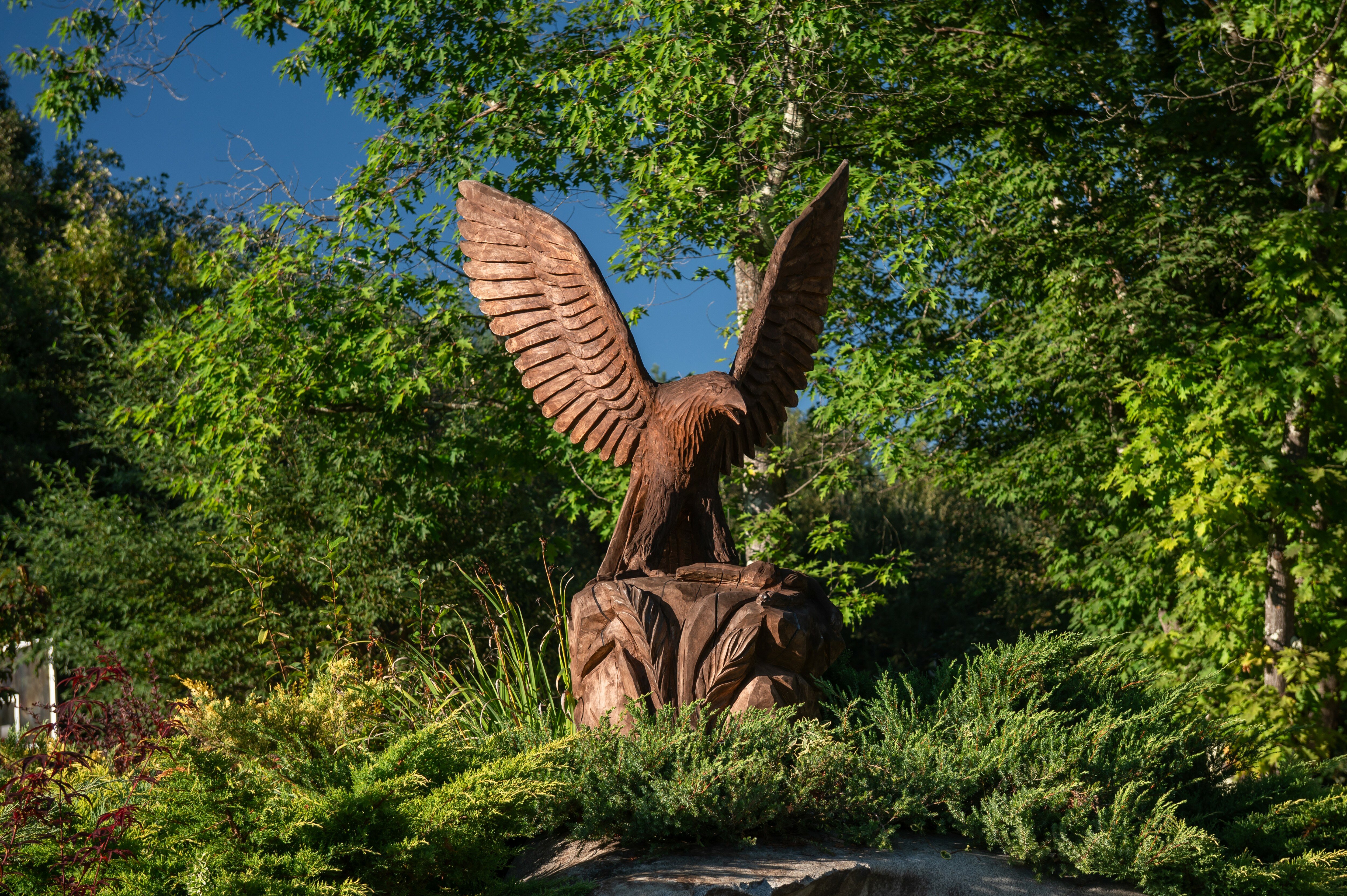 Фото Павлова поляна