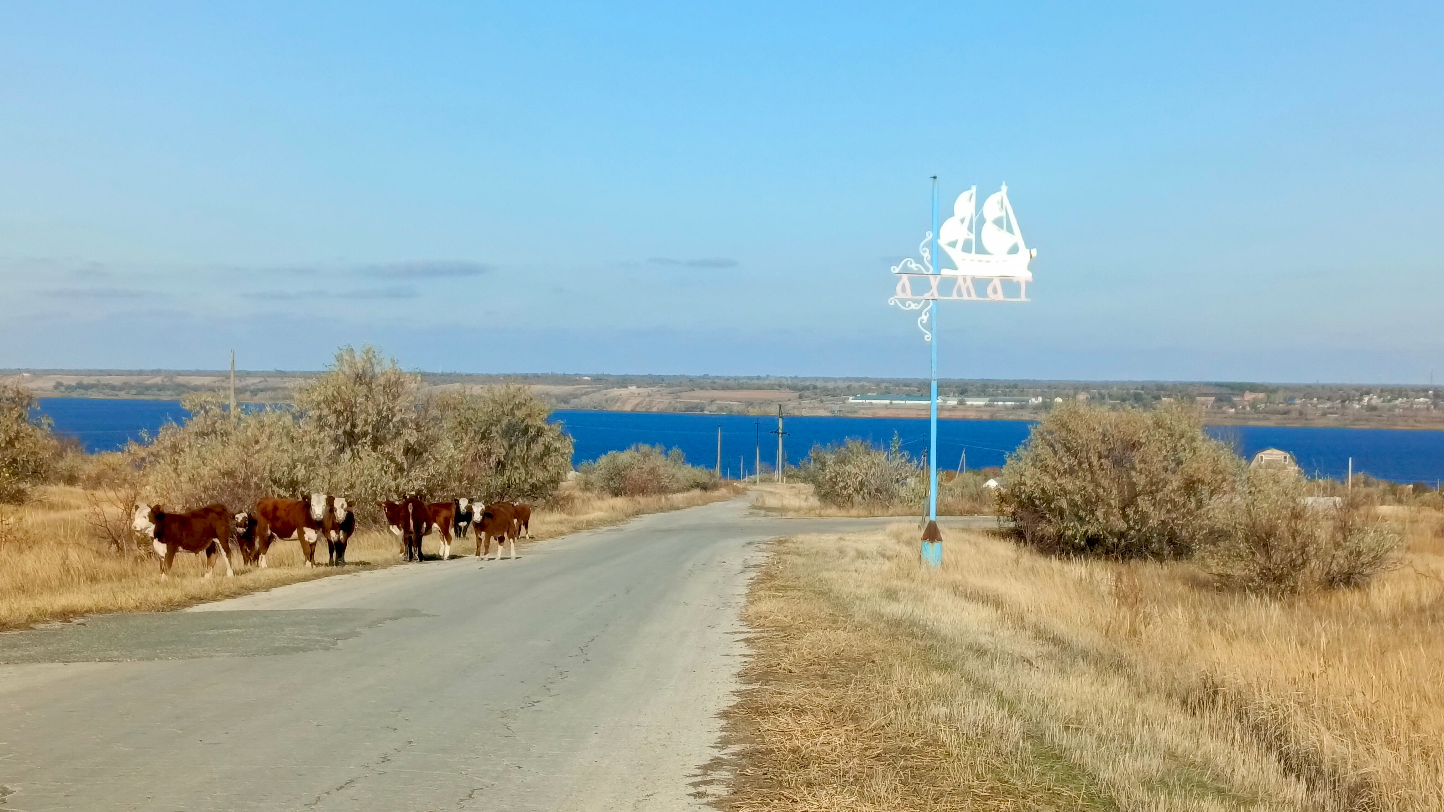 Фото Глэмпинг Парус