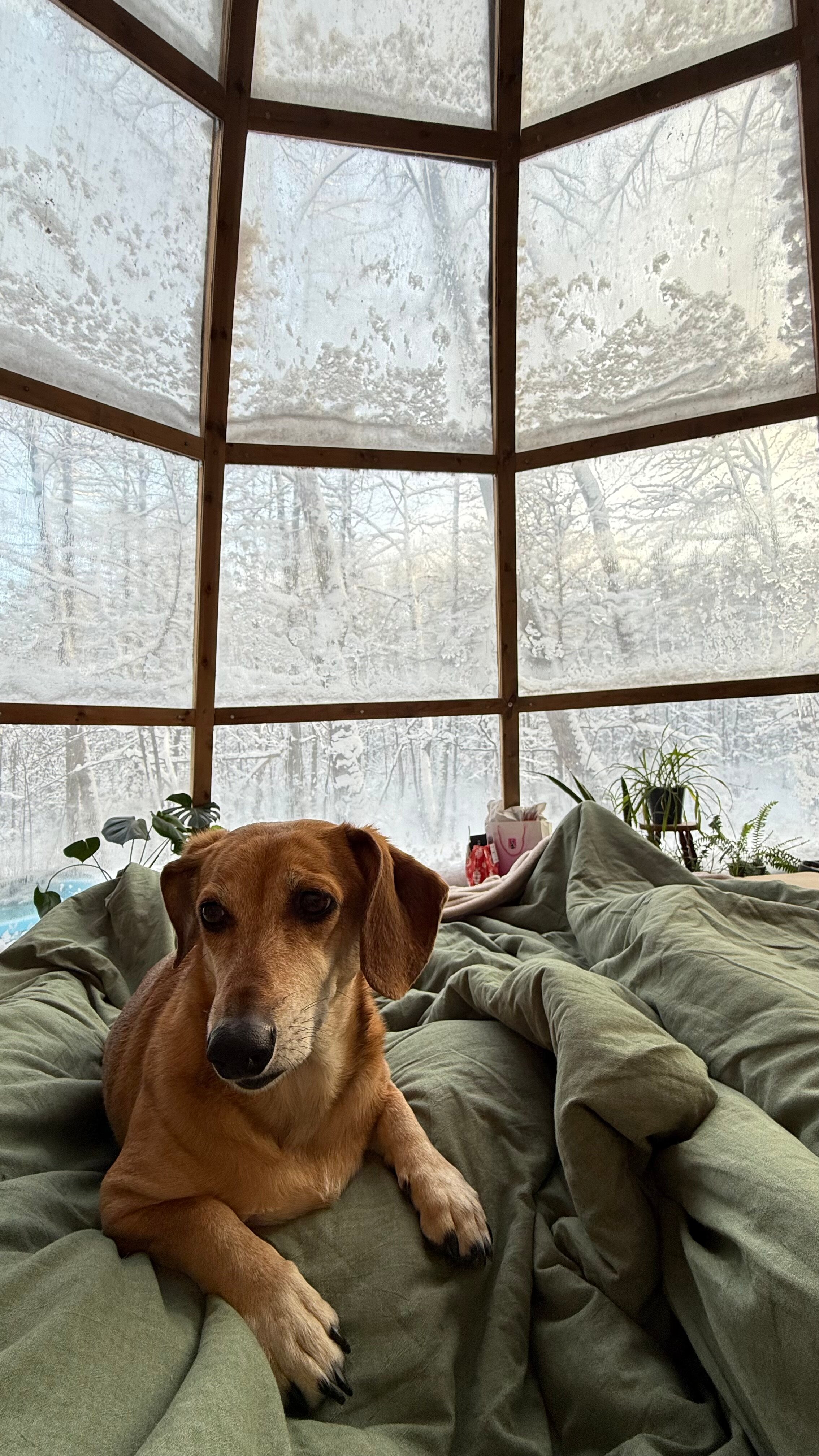 Фото Veлес glamp