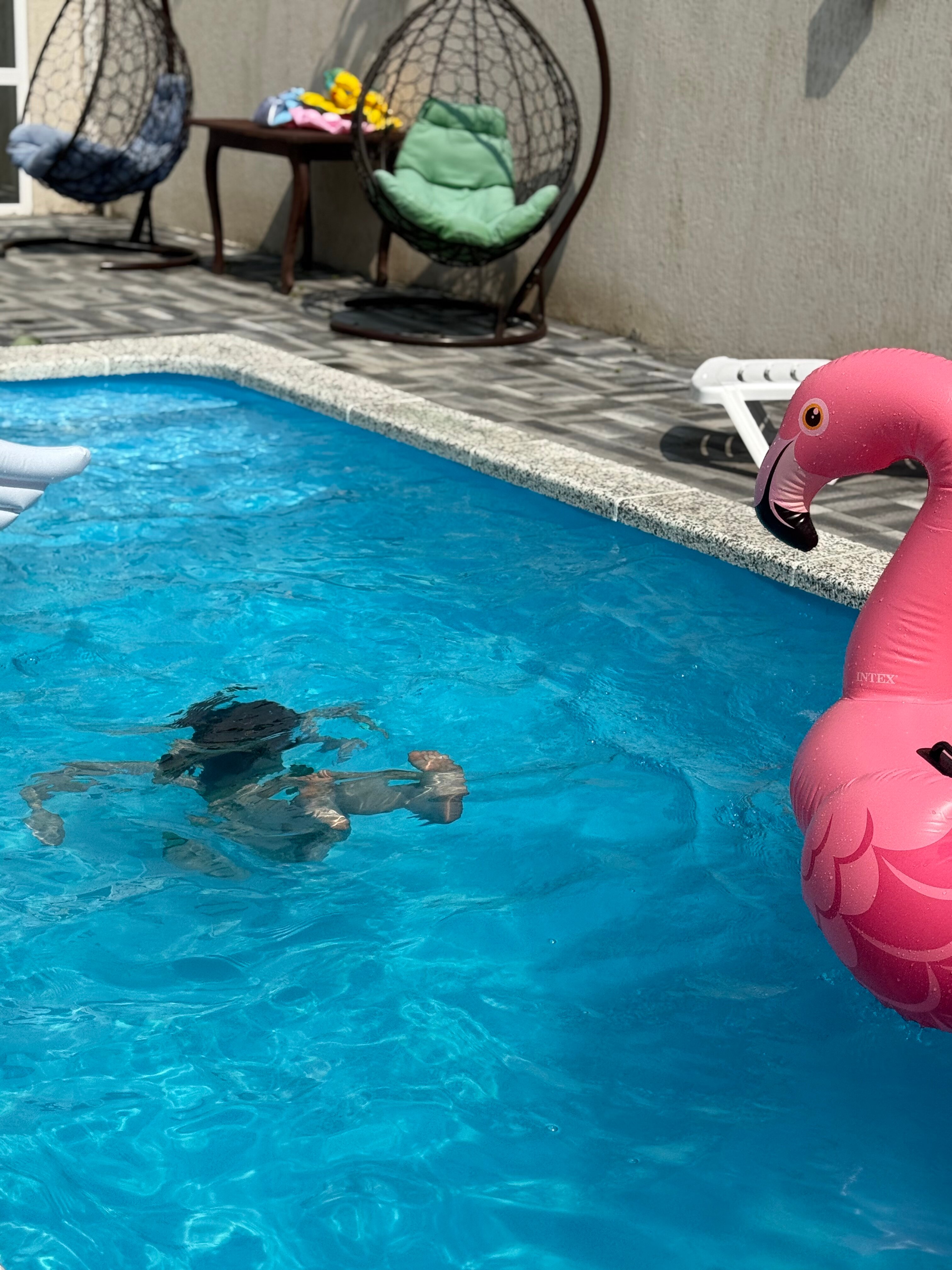 Фото Изумрудный