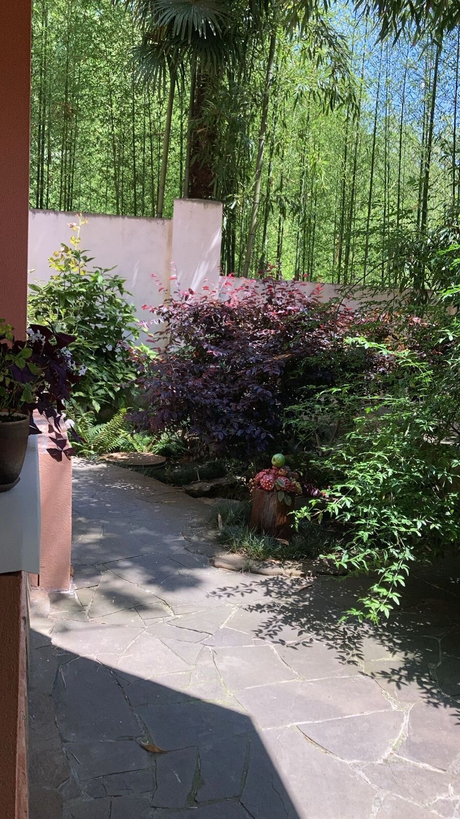 Фото Бамбуковый рай