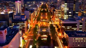 Гостиница Premier Hotel Cabin Sapporo