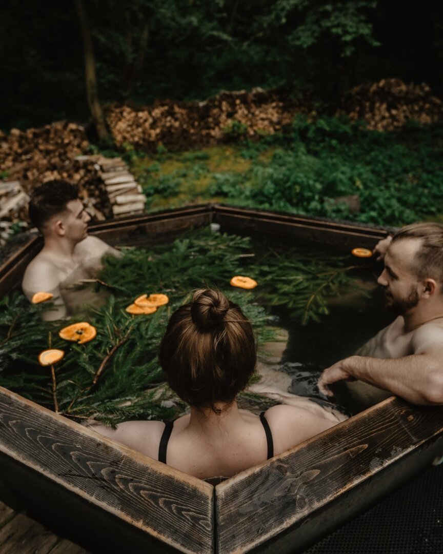 Фото Клевер