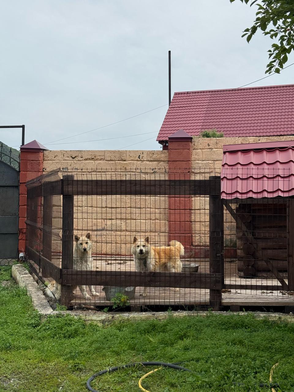 Фото Барская усадьба