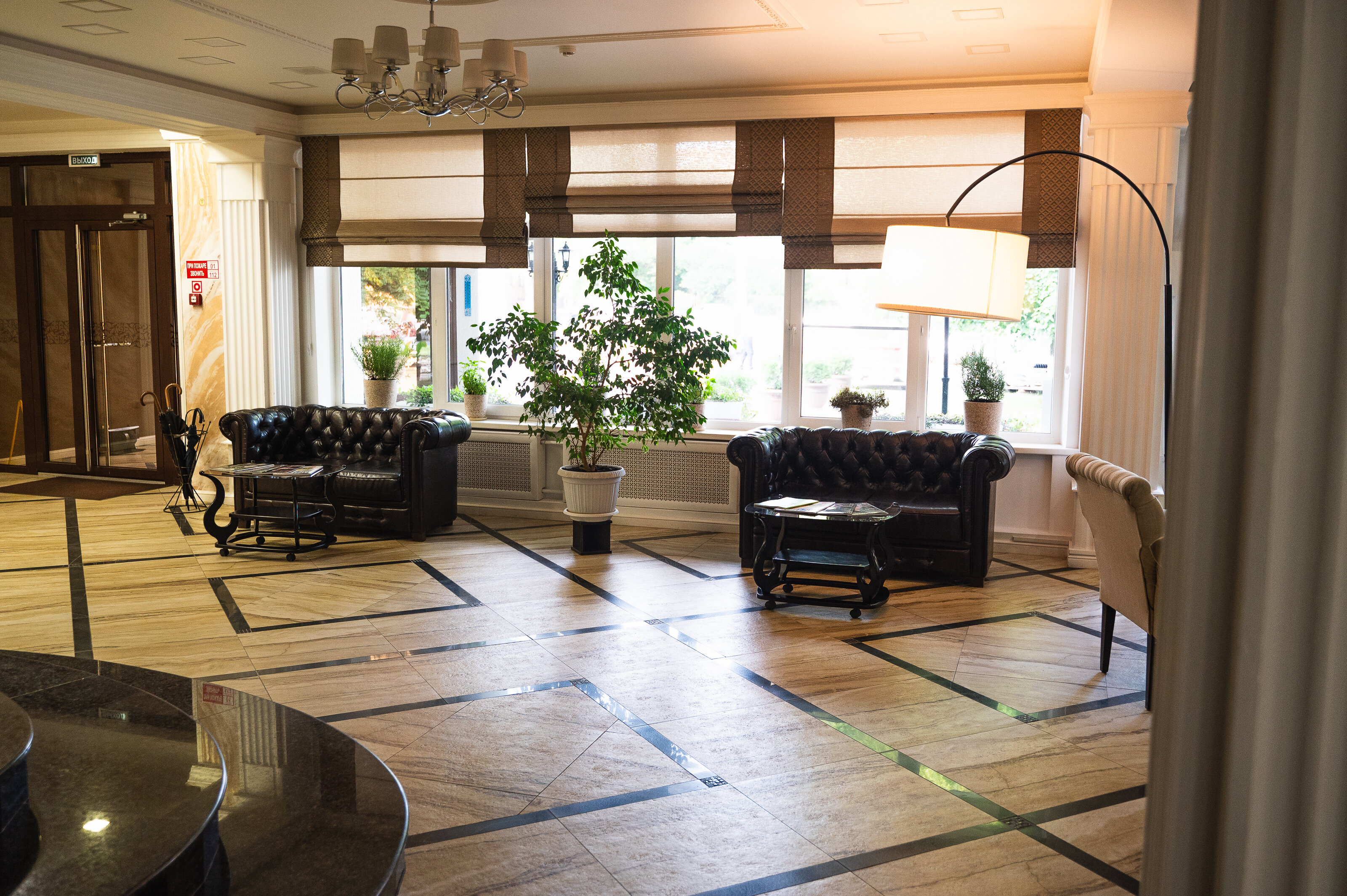 Фото Белая Акация