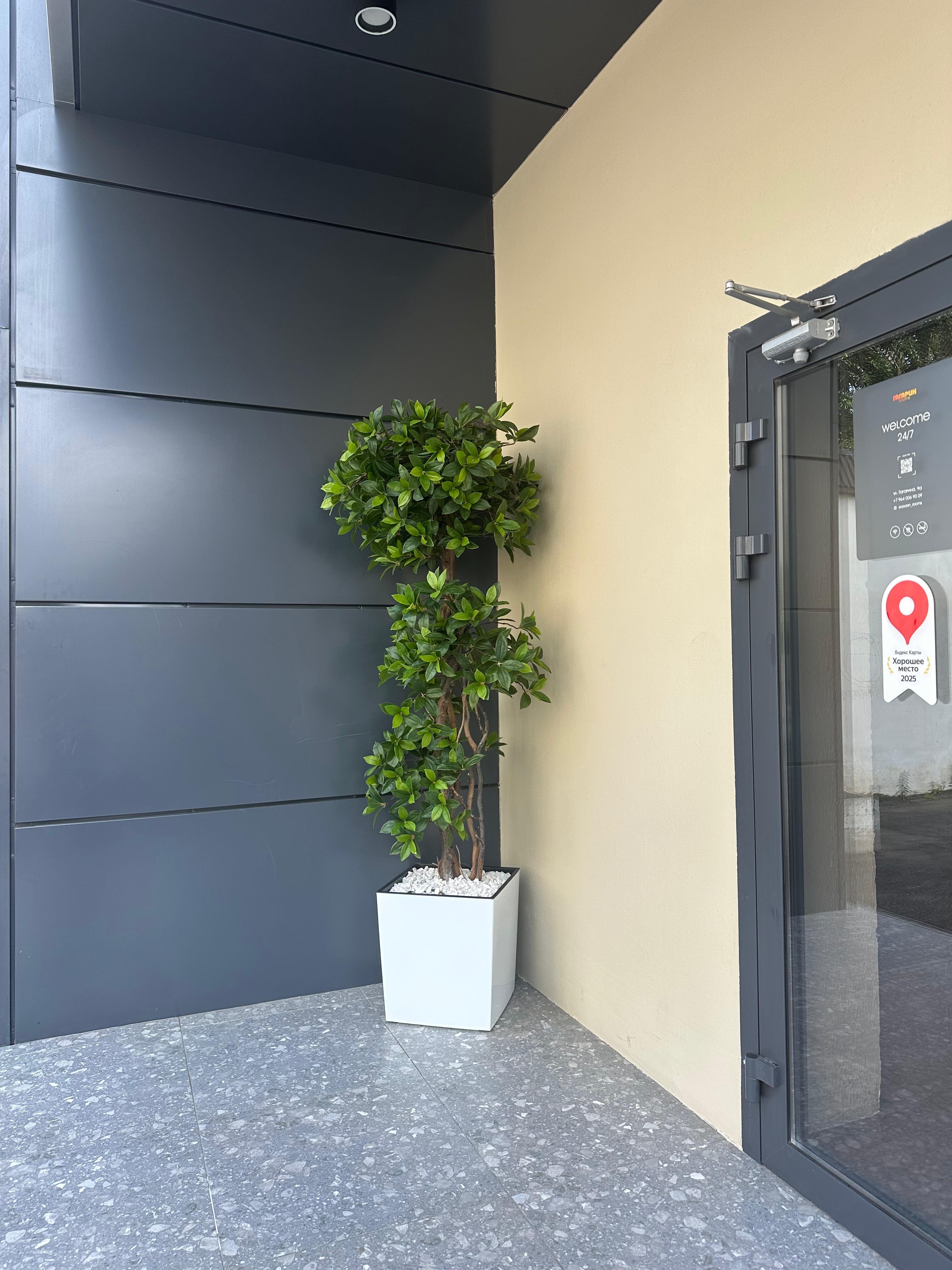 Фото Гагарин Rooms