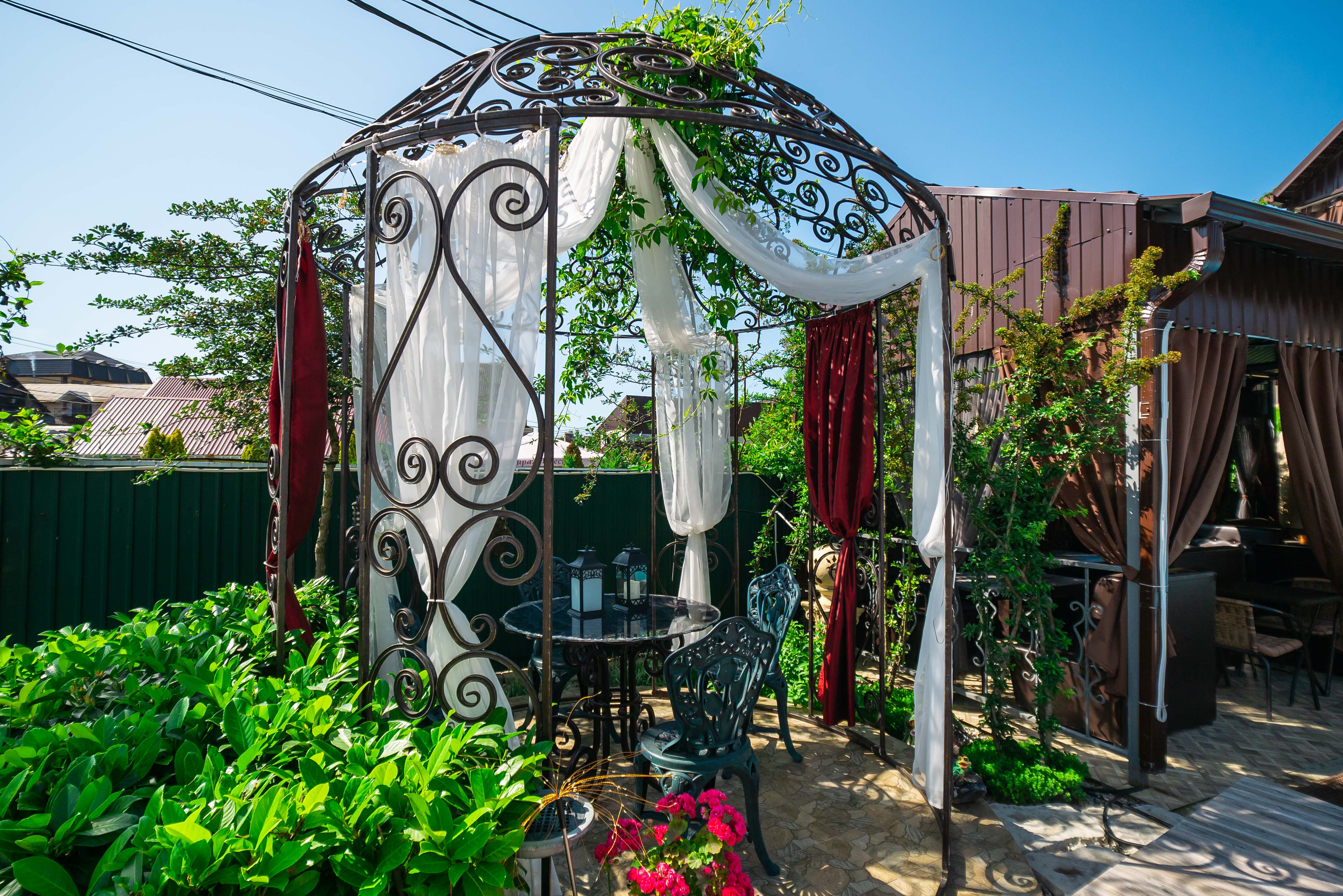 Фото Анютины Глазки