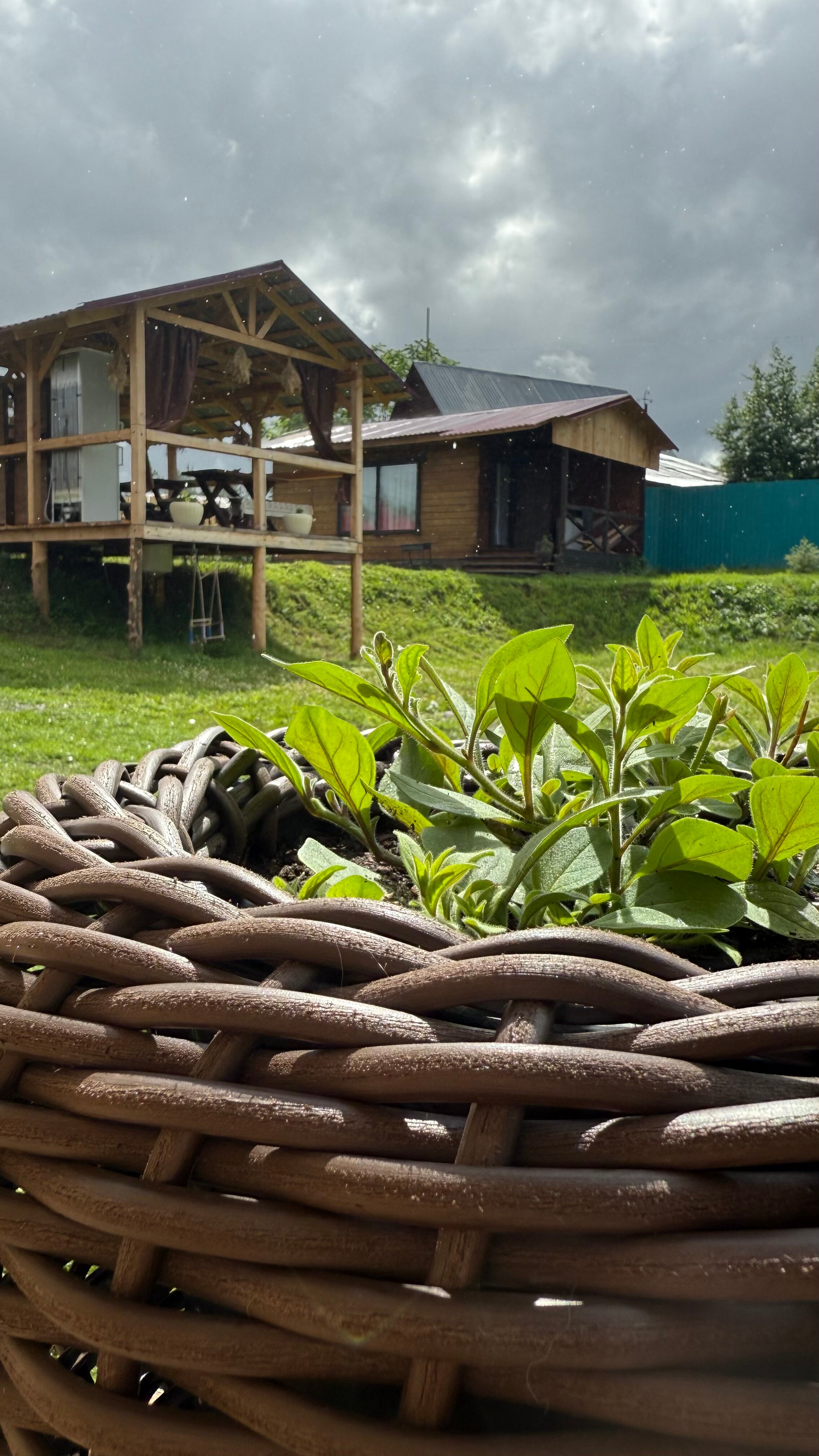 Фото Алтай-Долина