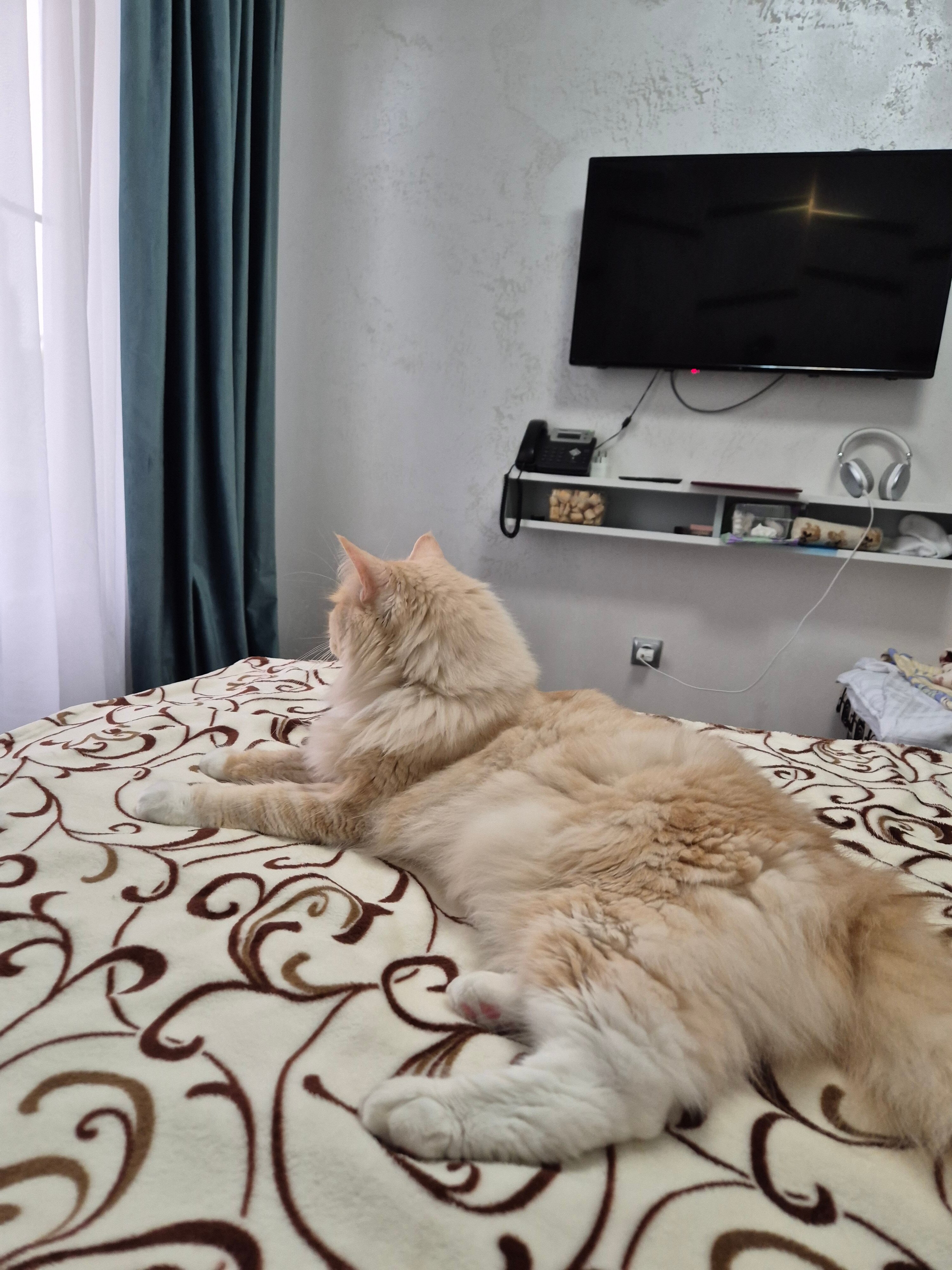 Фото Отель Проспект