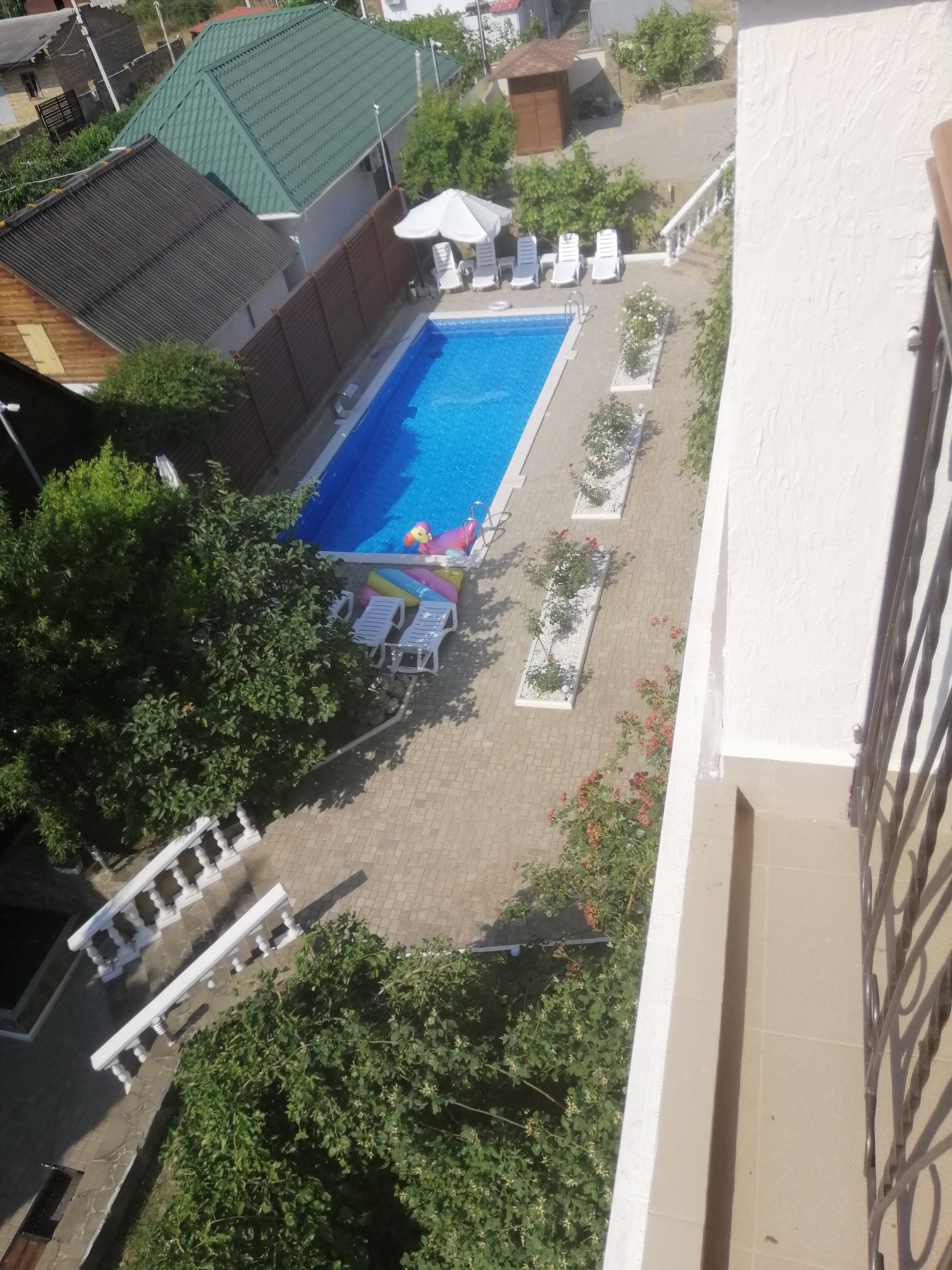 Фото Оливия