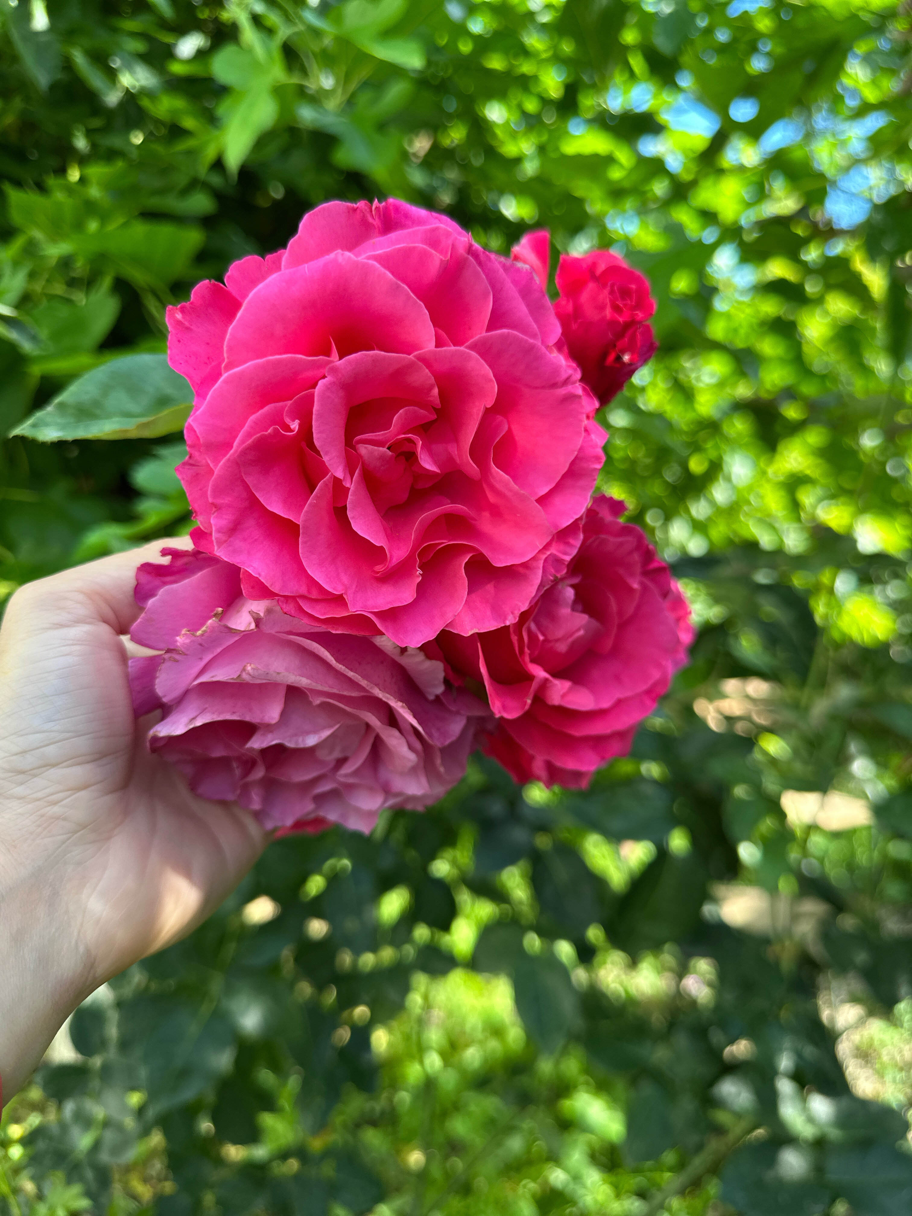 Фото Green House