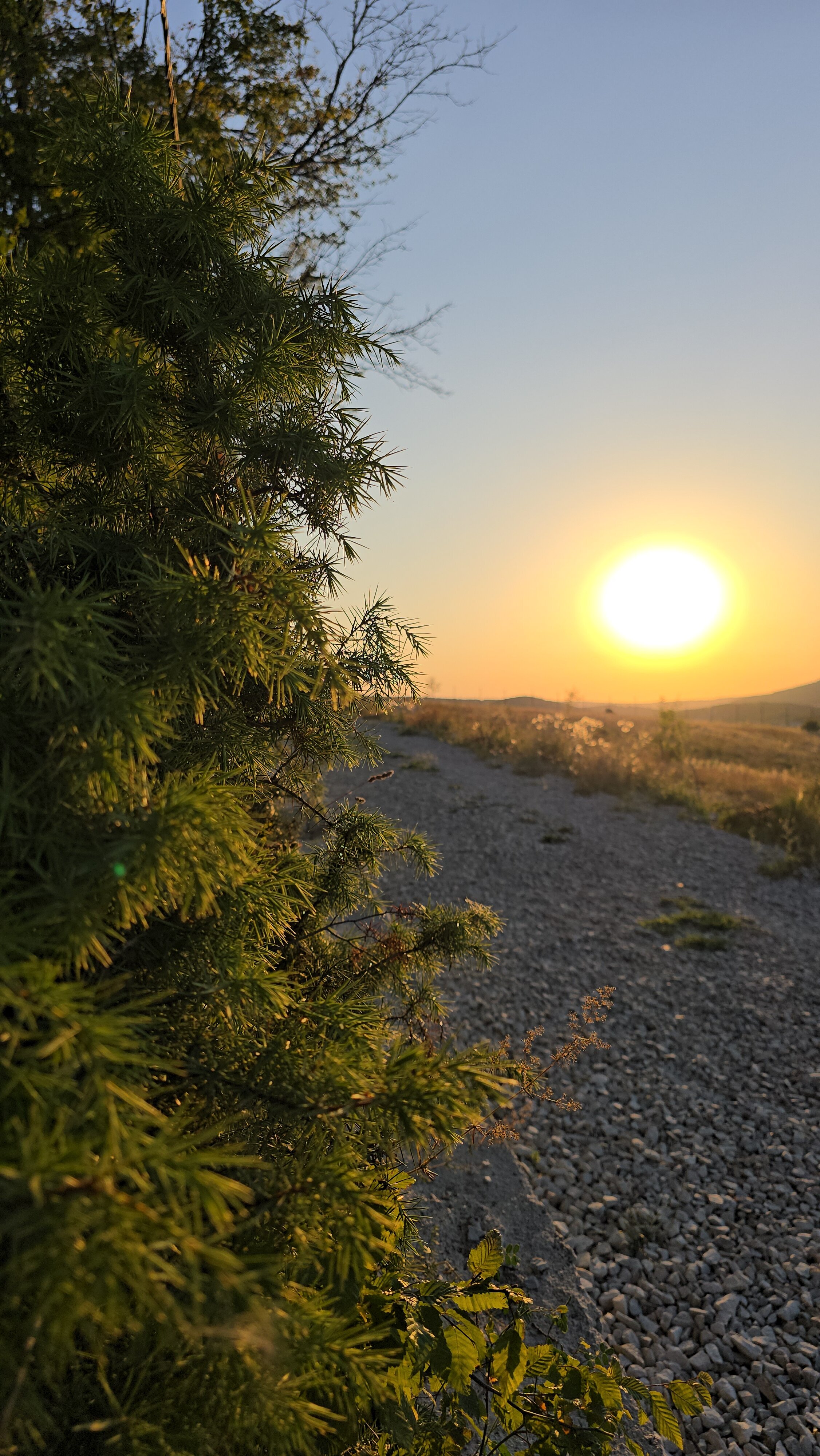 Фото Домики в лесу Шули
