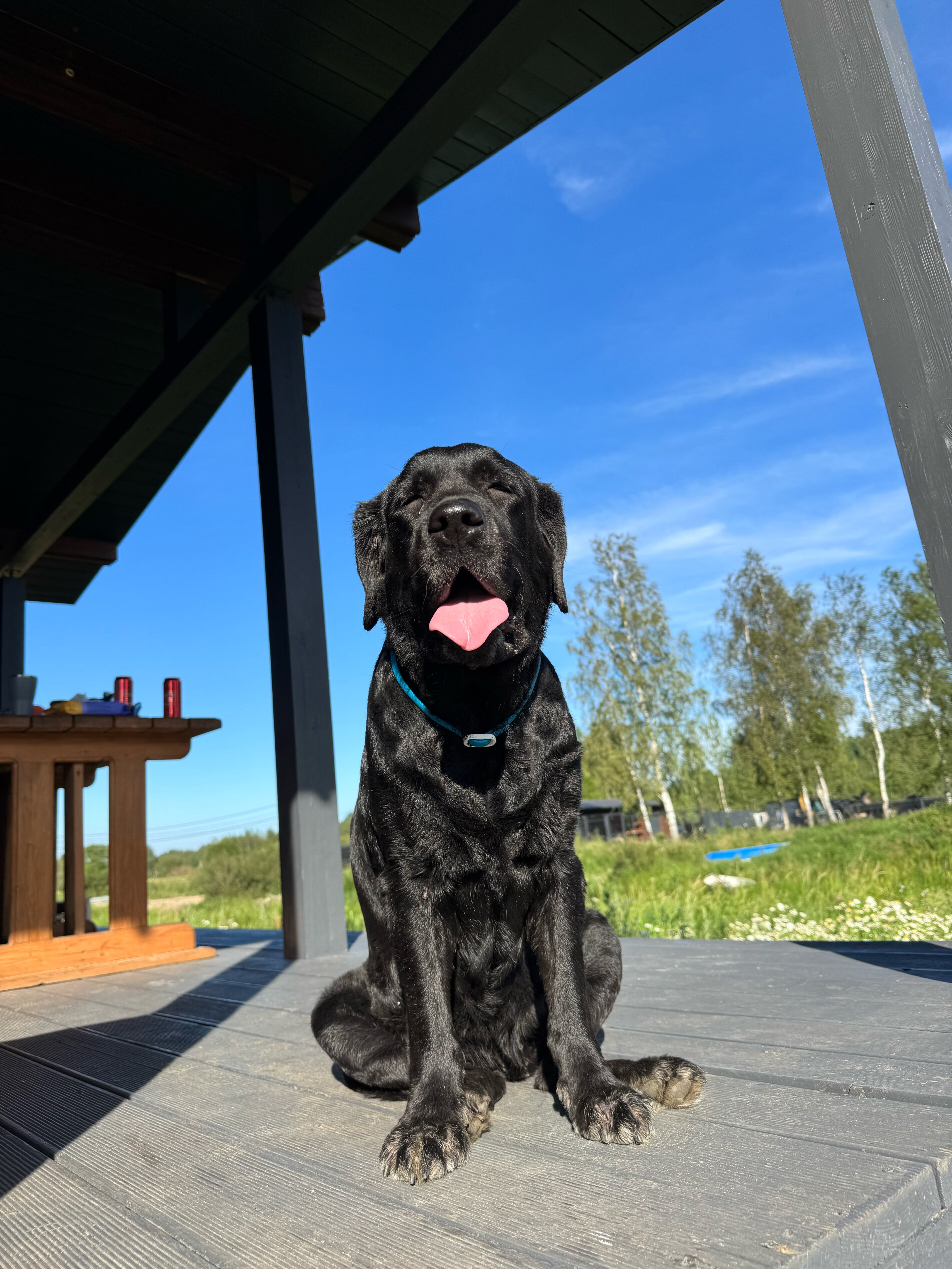 Фото Фазенда